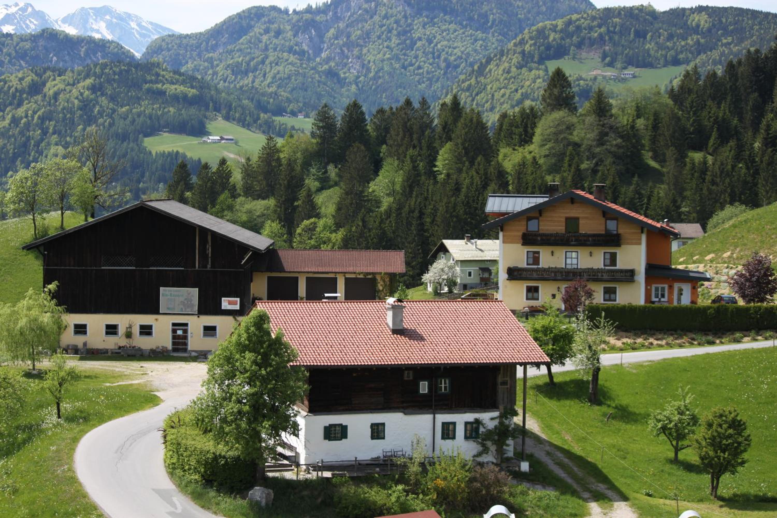 Apartment Eckstoa