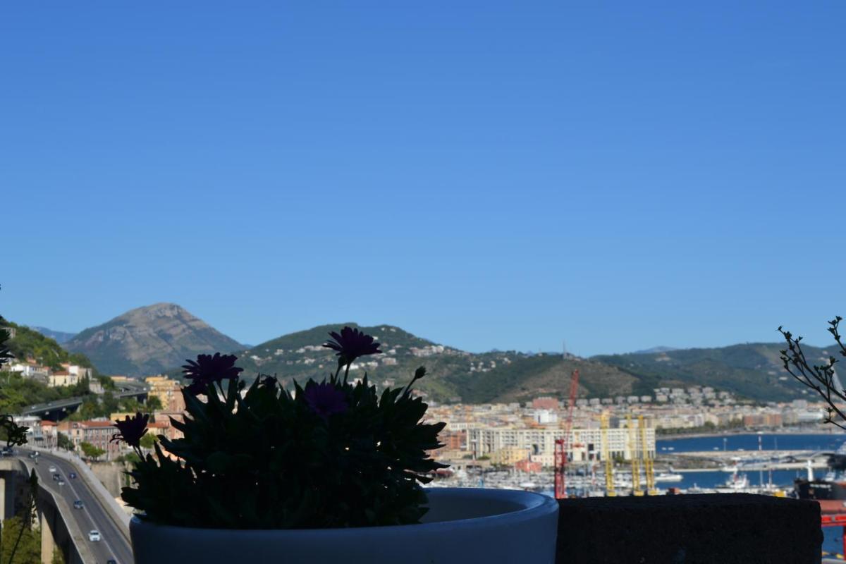 Photo 41