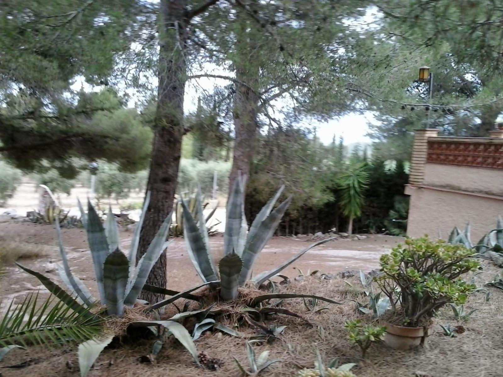 Casa de montaña muy traquila con sauna