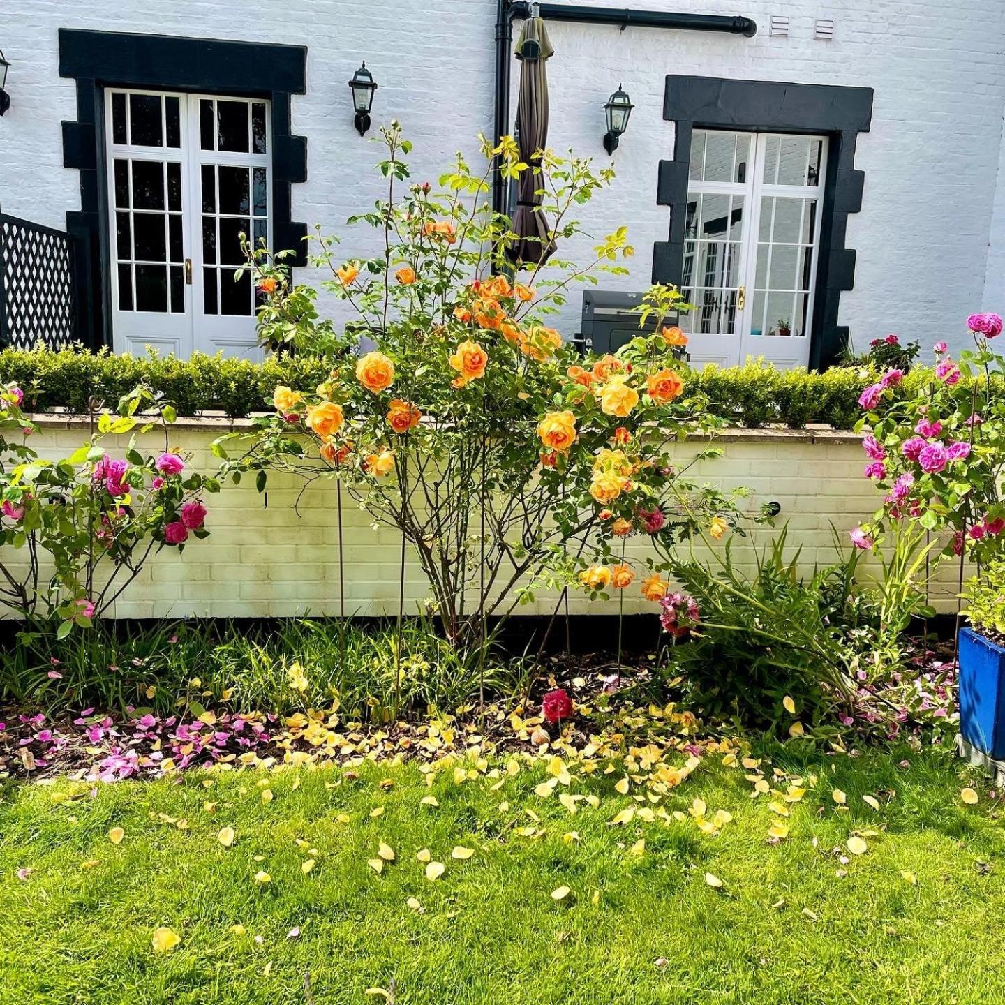Eagle House - Award Winning B&B and Apartment