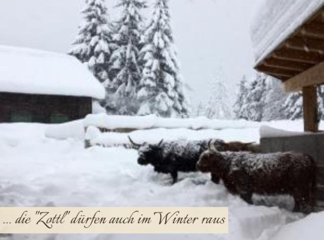 Zottlhof- dein Urlaubszauber auf 1.200m