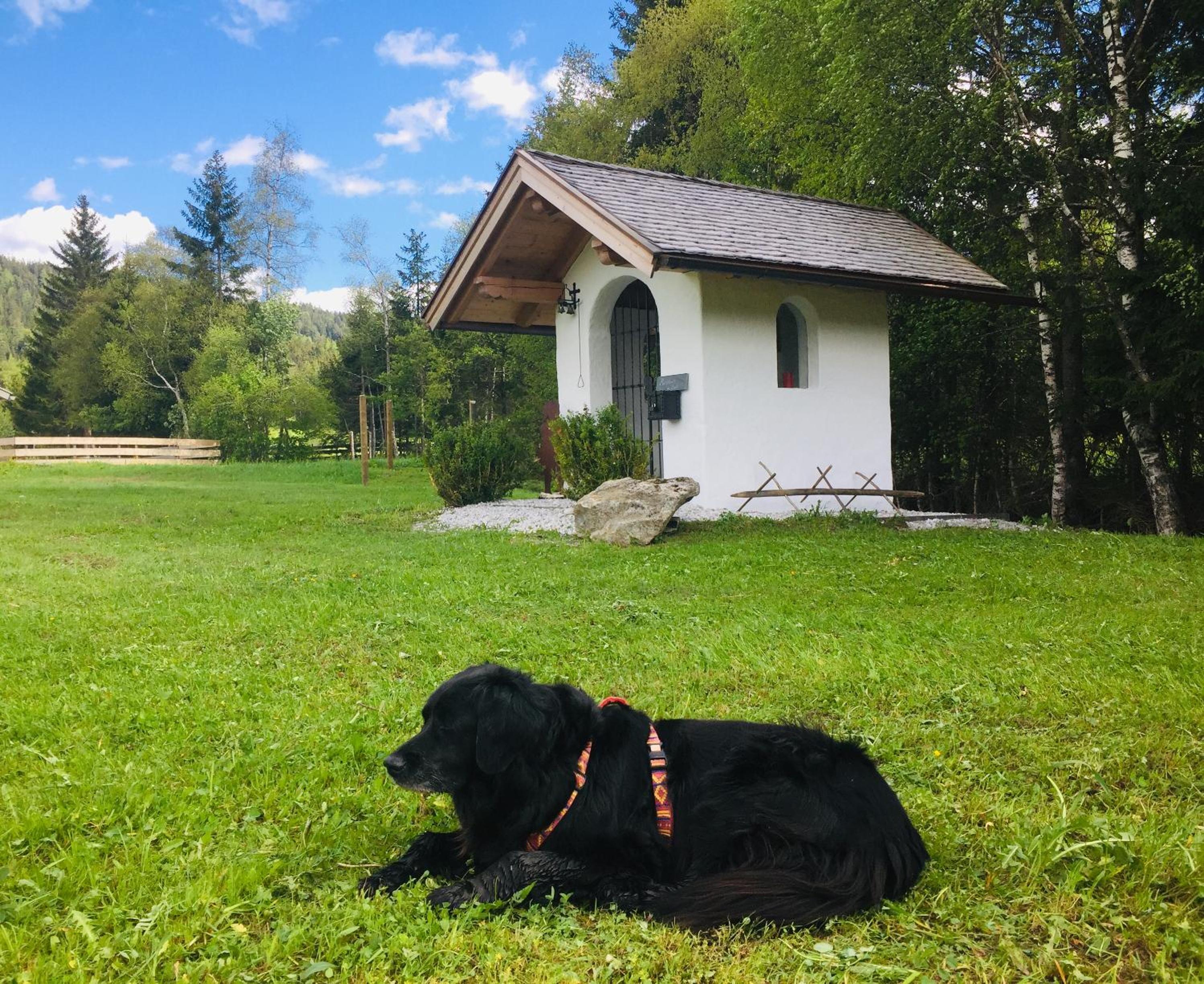 Zottlhof- dein Urlaubszauber auf 1.200m