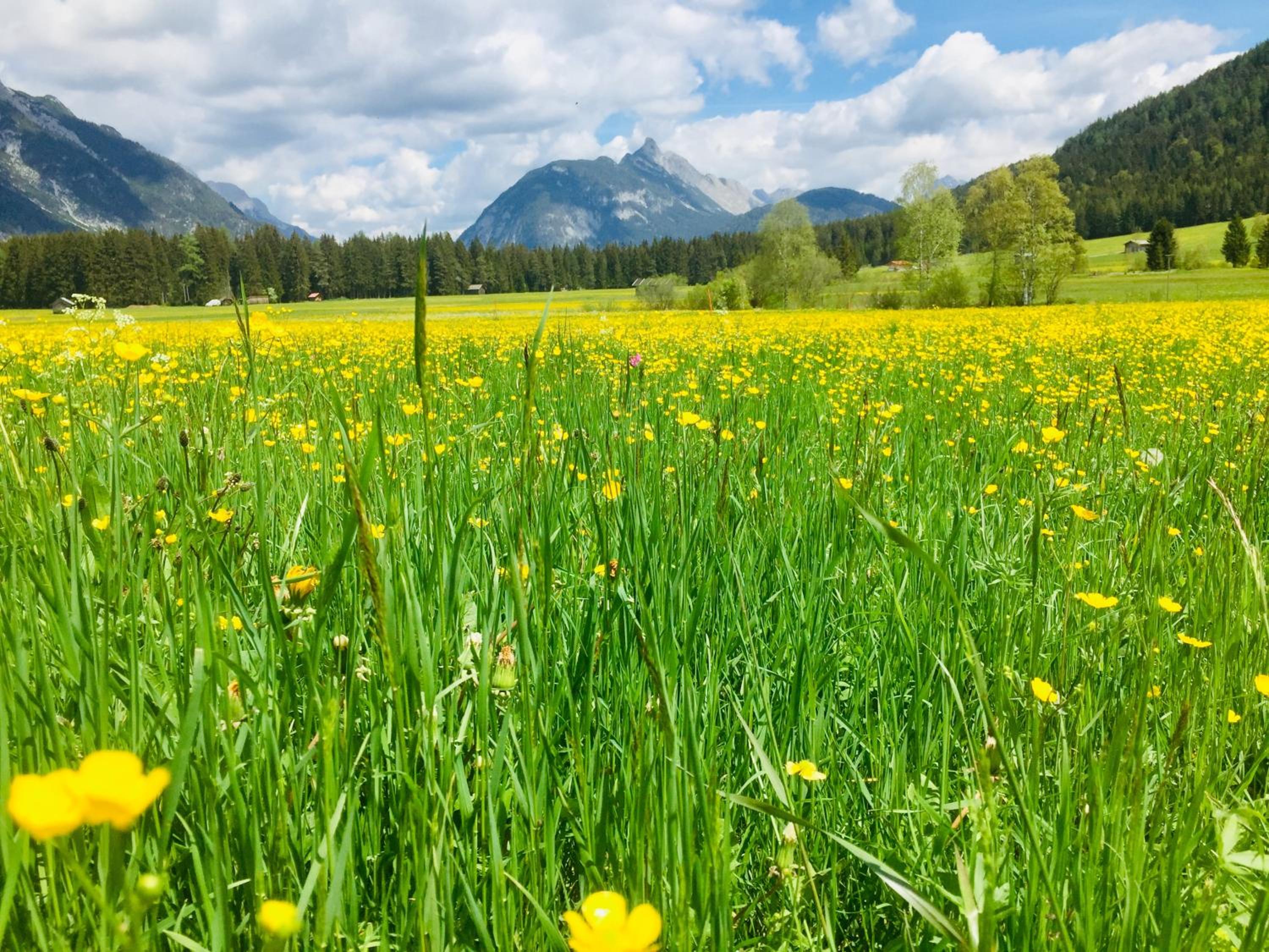 Zottlhof- dein Urlaubszauber auf 1.200m