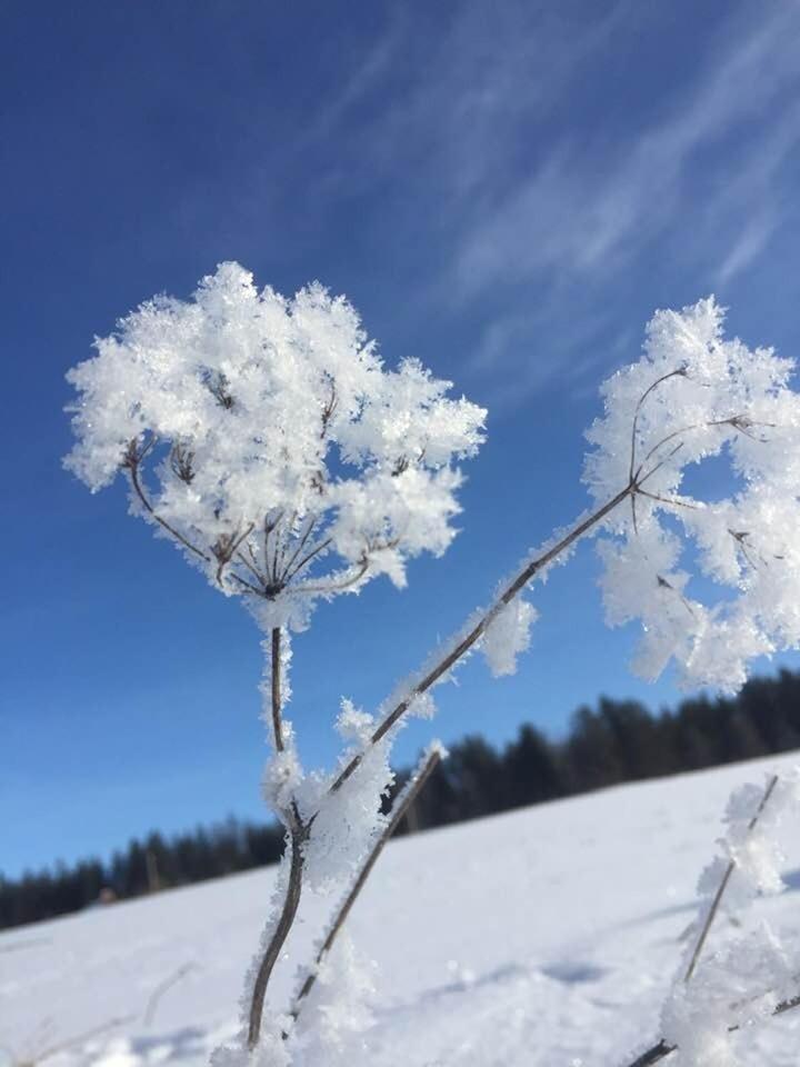 Zottlhof- dein Urlaubszauber auf 1.200m
