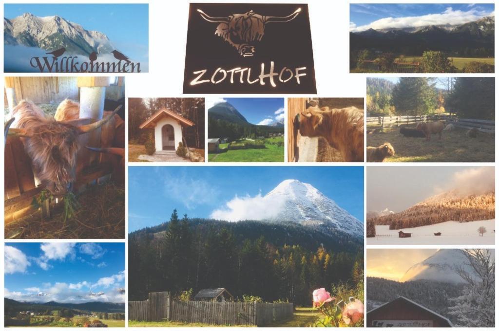 Zottlhof- dein Urlaubszauber auf 1.200m