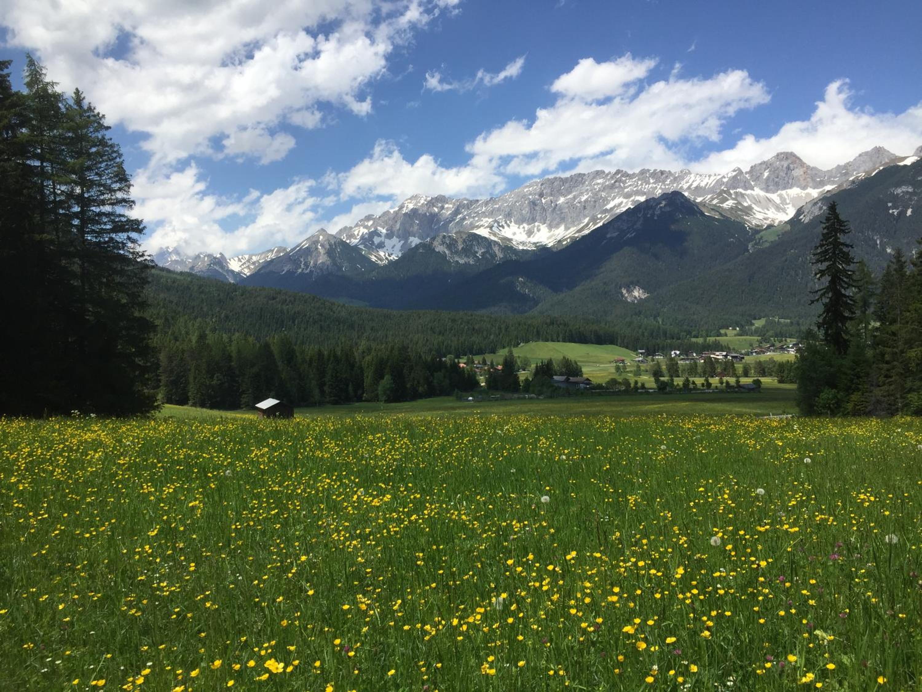 Zottlhof- dein Urlaubszauber auf 1.200m