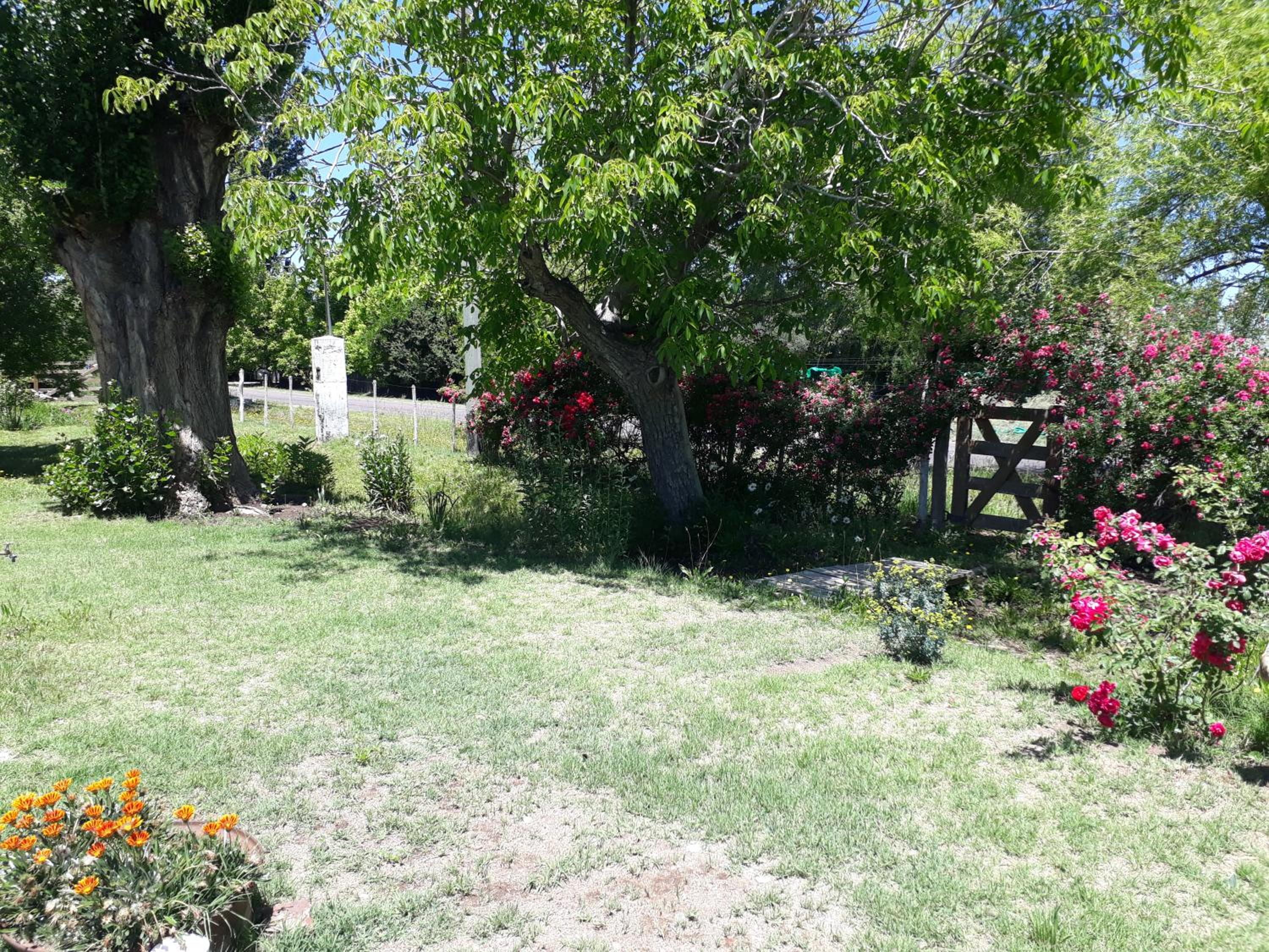 Casa de campo Las olivas