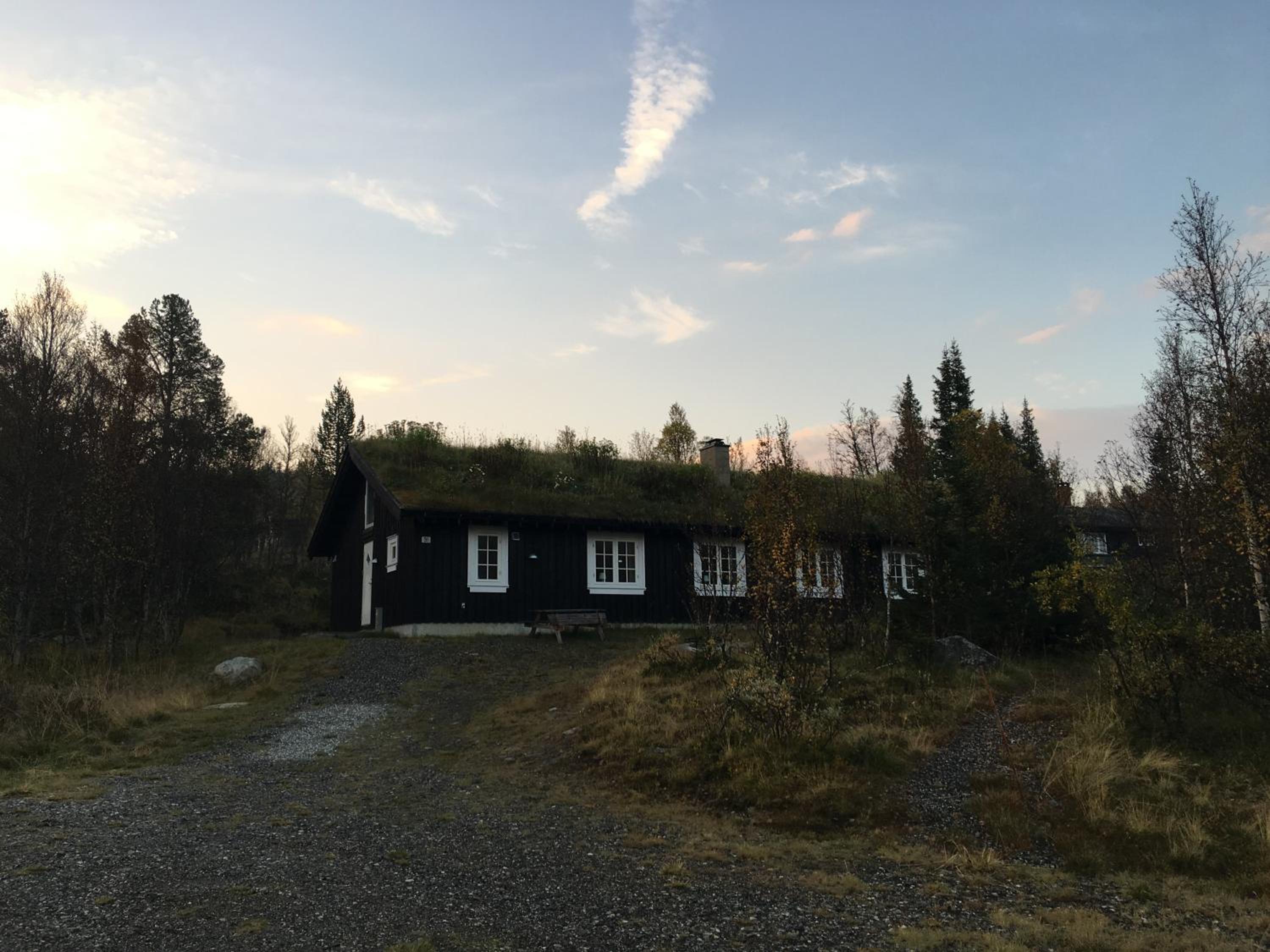 Photo 19