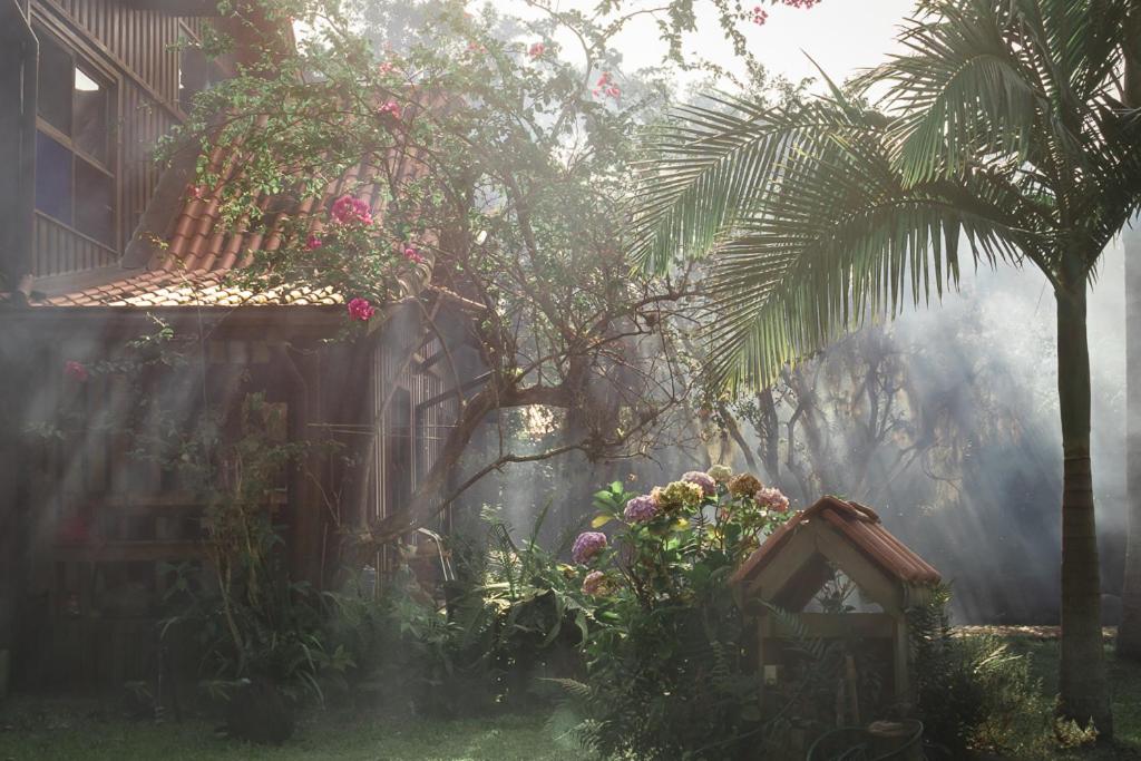 Casa da Floresta