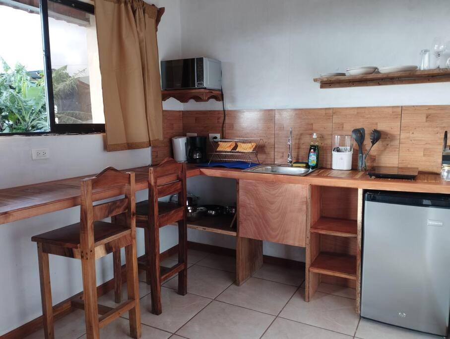 Siary Aparment con vista 3