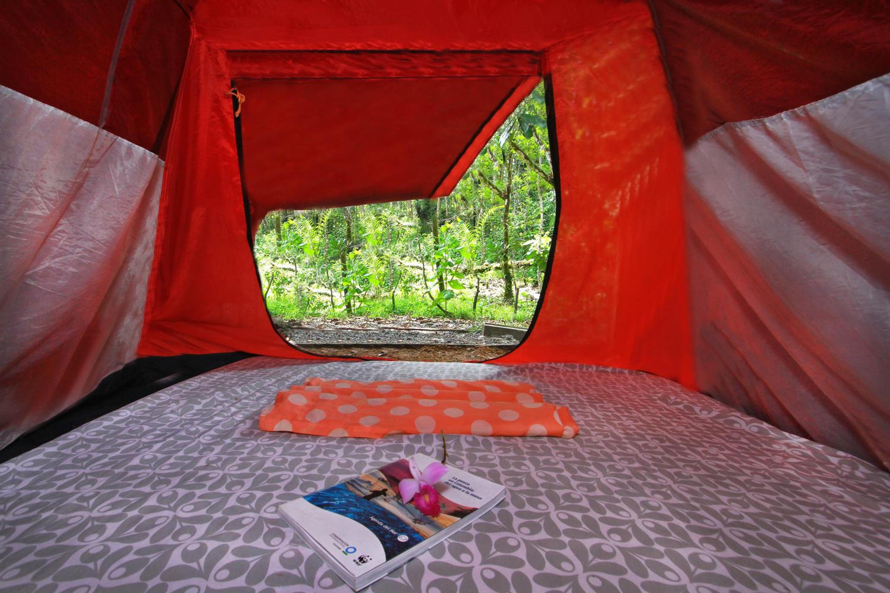 Posada El Silbo Apacible Cabaña, Glamping y Camping view 5