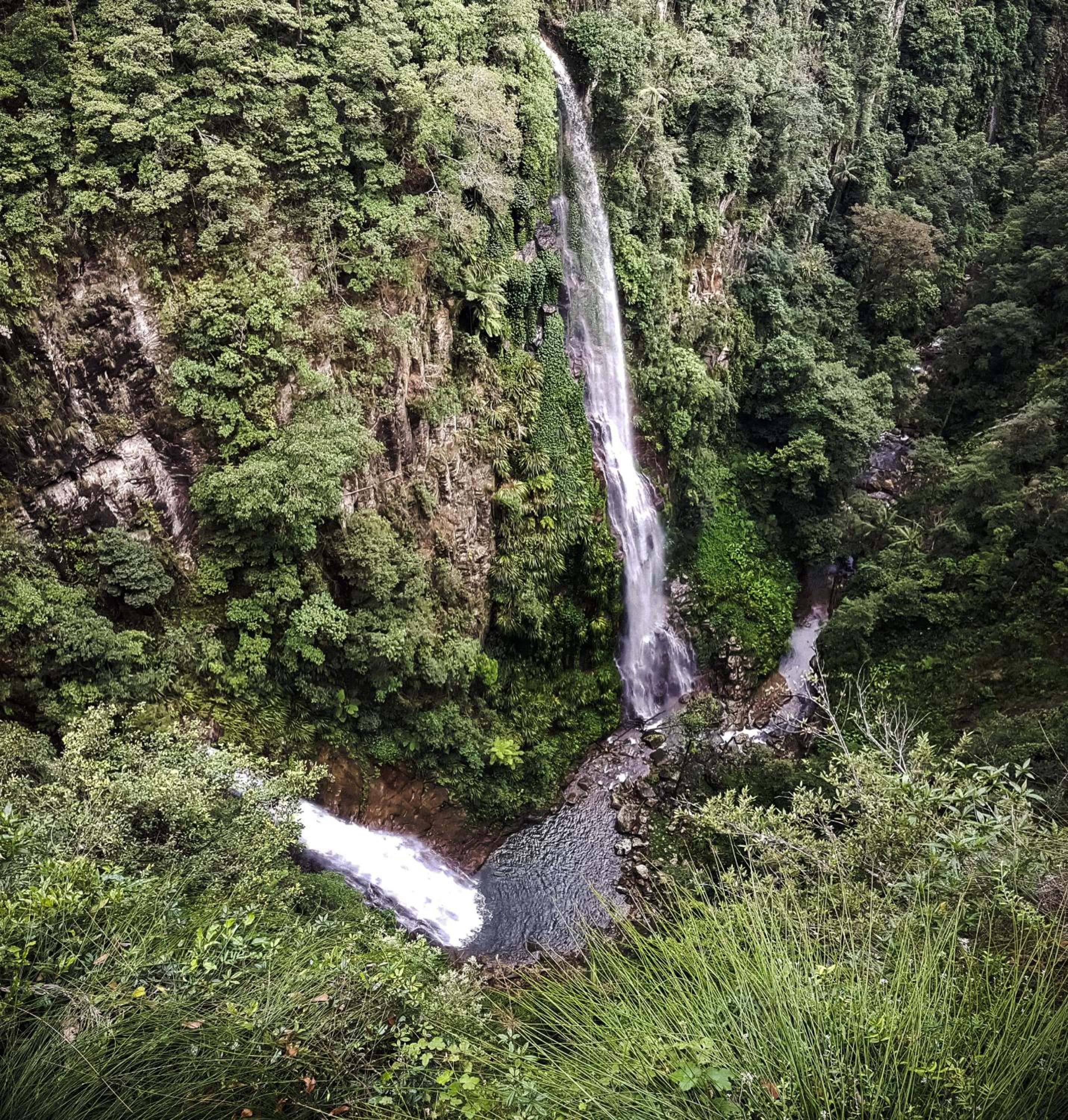 Binna Burra Sky Lodges view 2