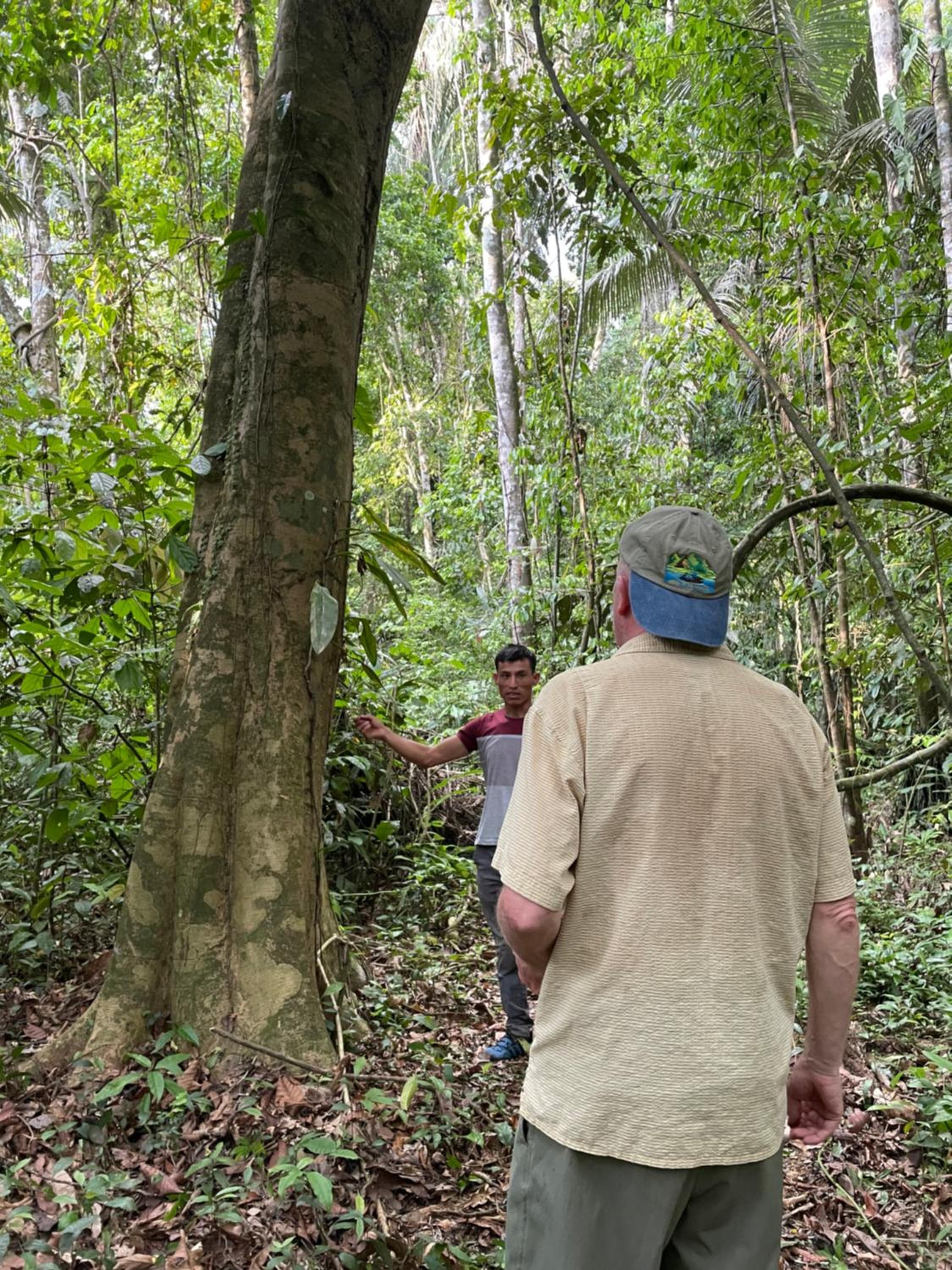 Homestay Oropendola tambopata