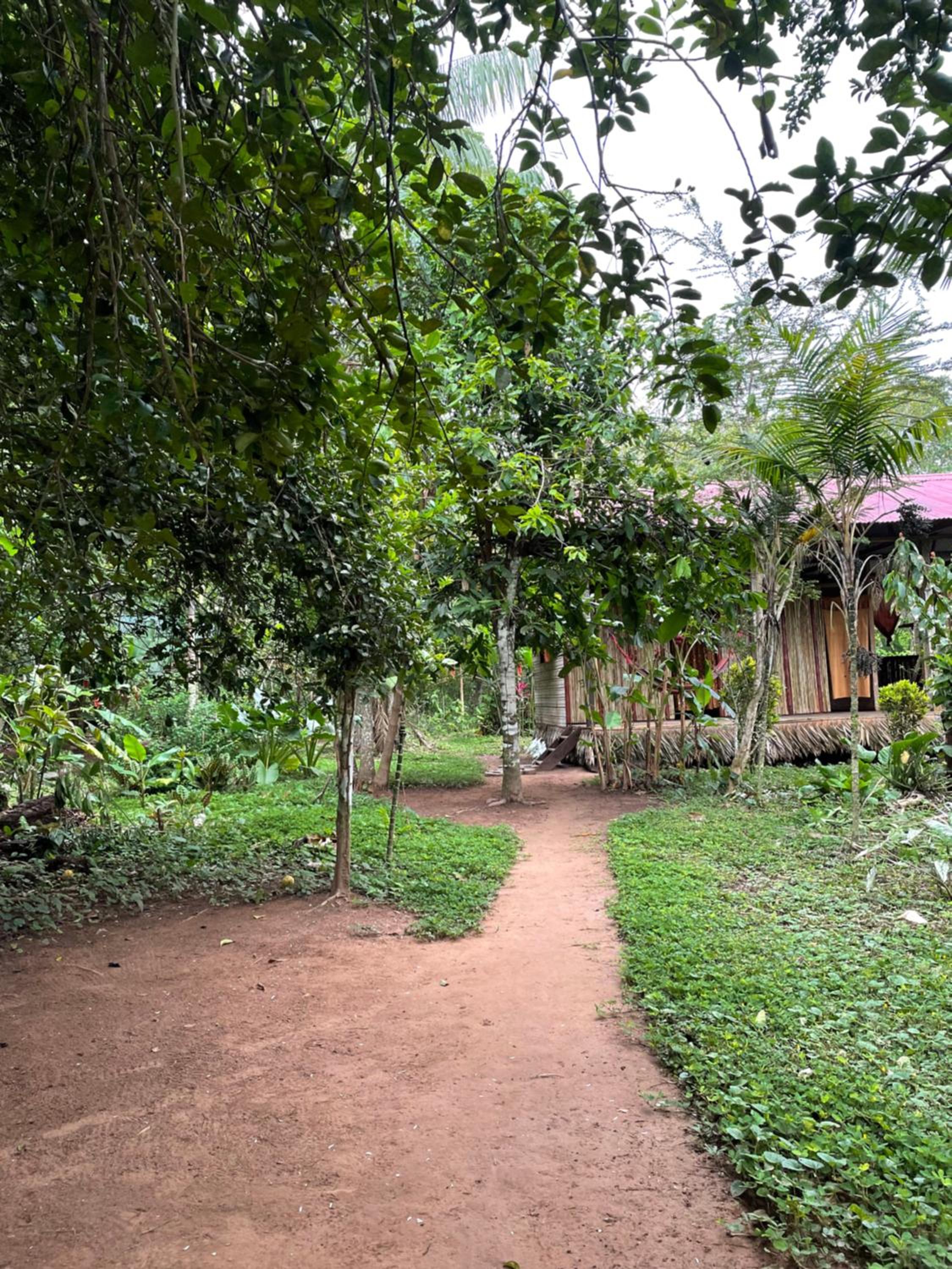 Homestay Oropendola tambopata