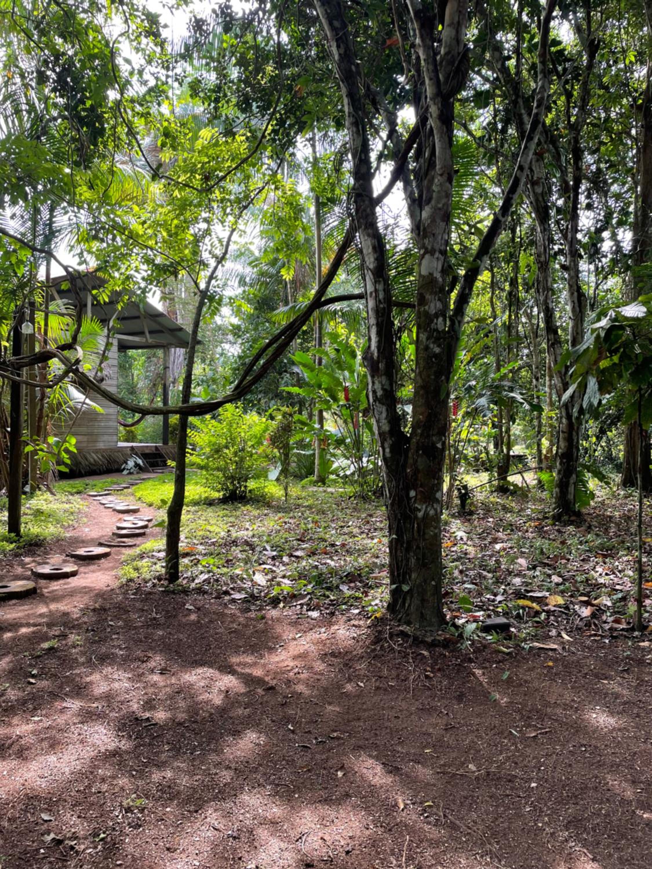 Homestay Oropendola tambopata