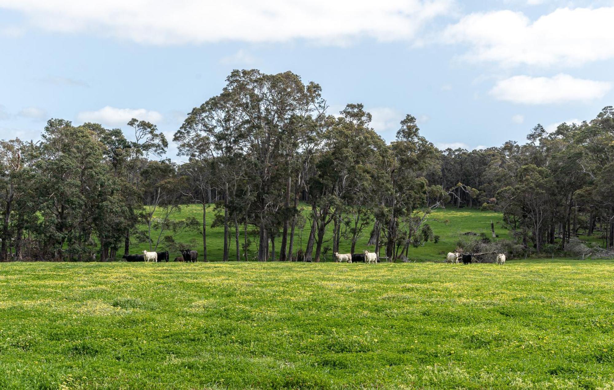 Margaret River Farm