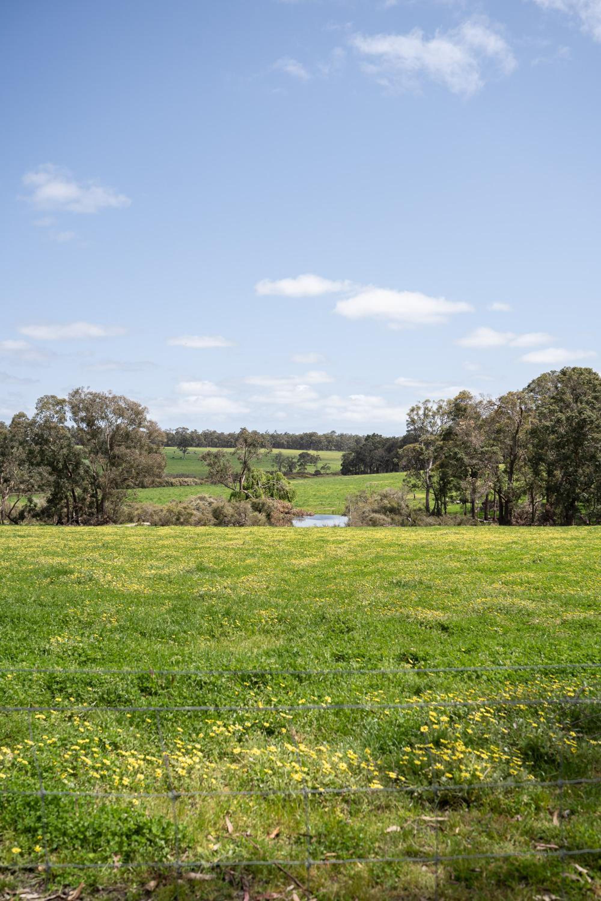 Margaret River Farm