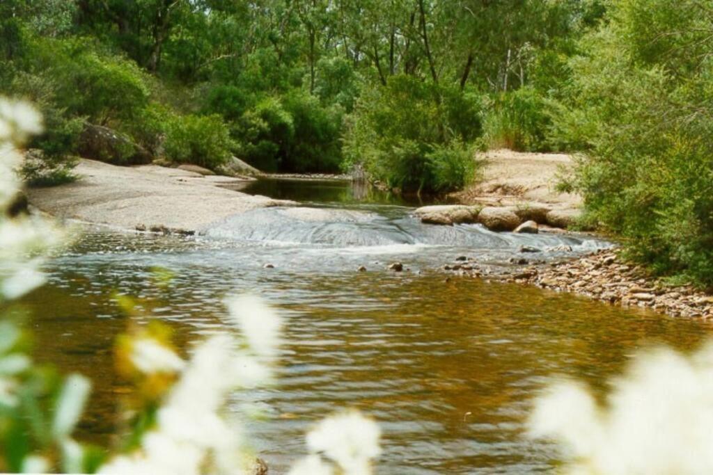 Hidden Gem, Megalong Valley, Blue Mountains