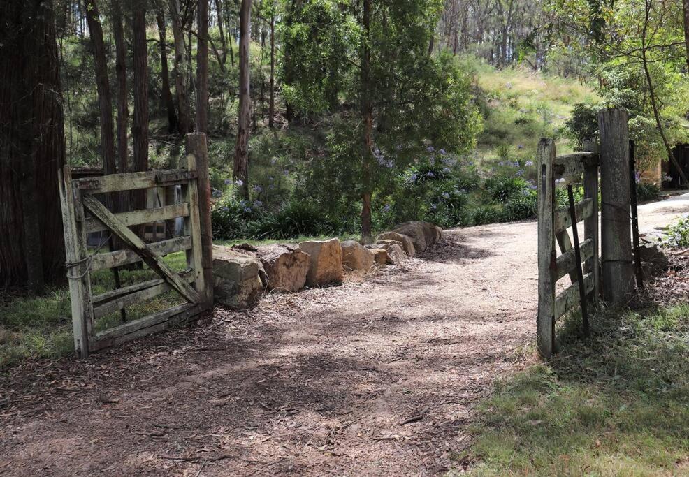 Hidden Gem, Megalong Valley, Blue Mountains