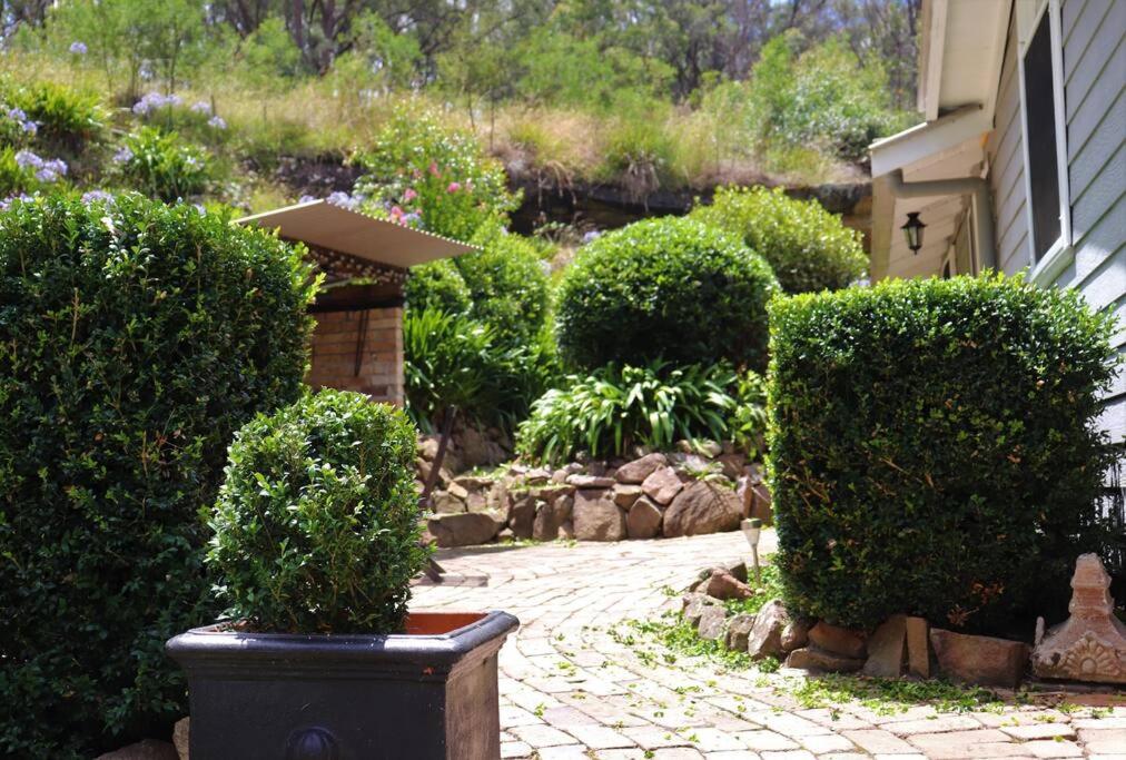 Hidden Gem, Megalong Valley, Blue Mountains