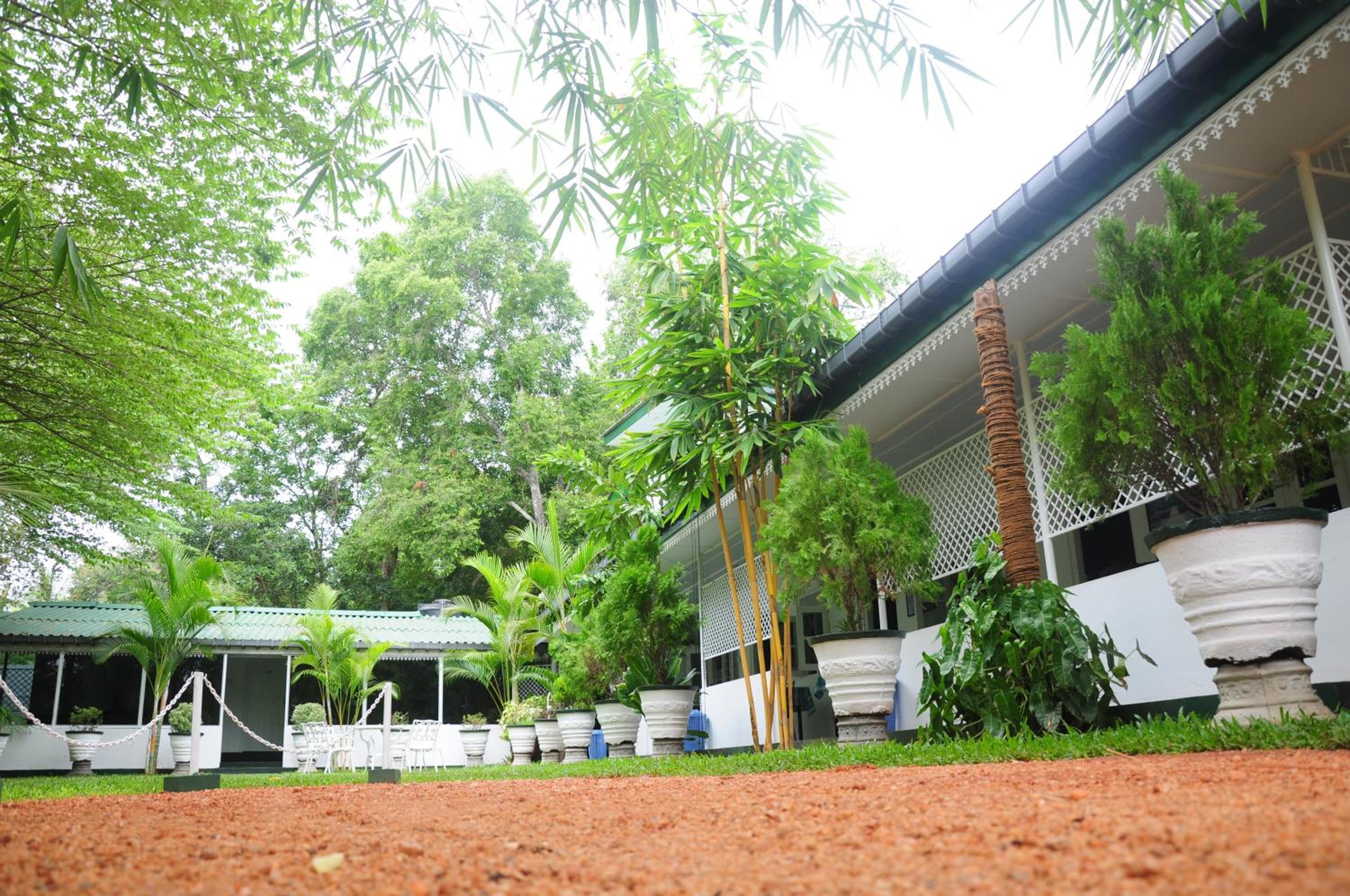 Levi's Tourist – Anuradhapura view 2