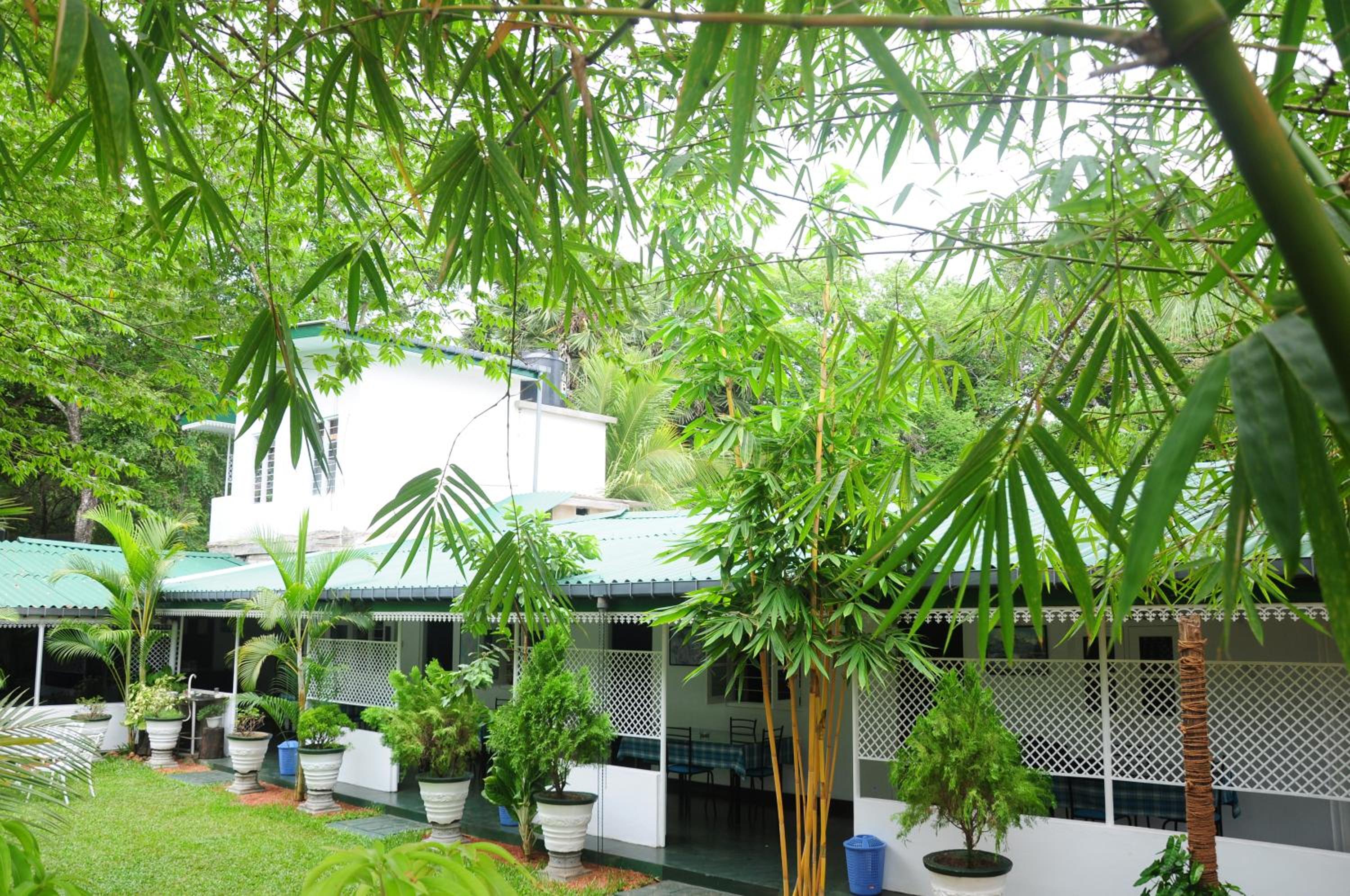 Levi's Tourist – Anuradhapura view 5