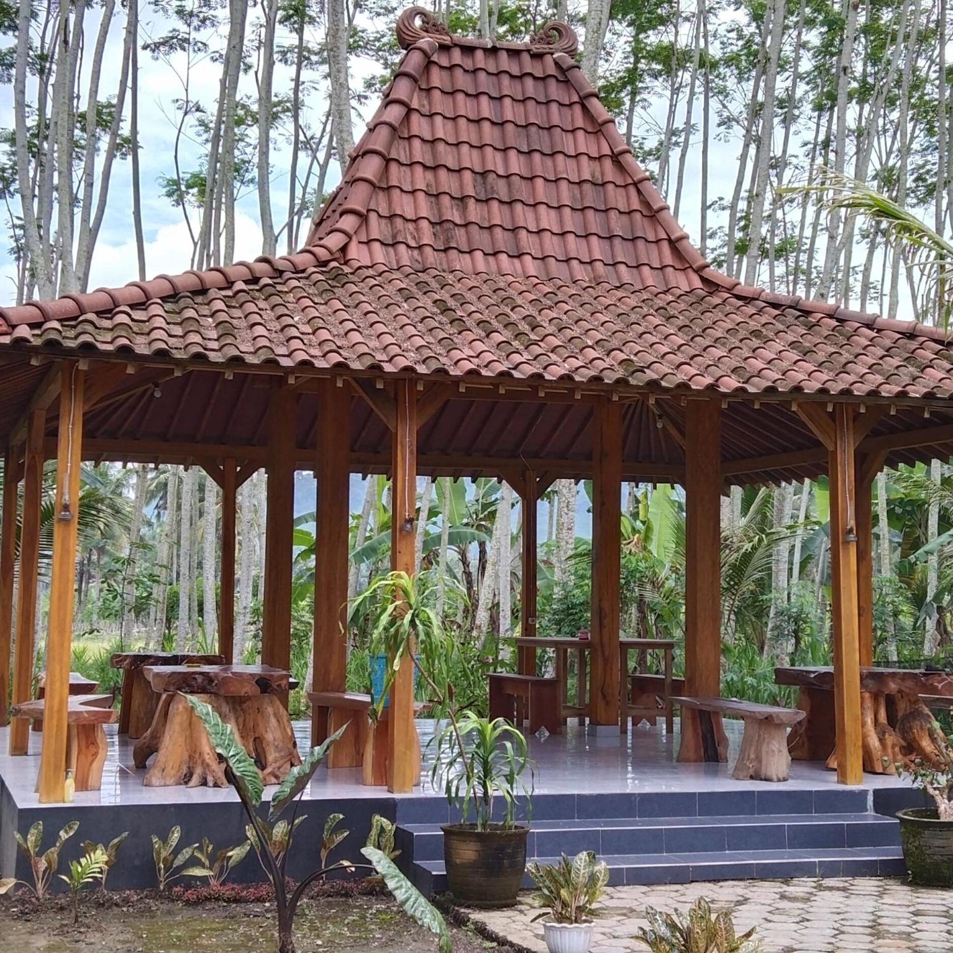Adventure Turtle Homestay Meru Betiri