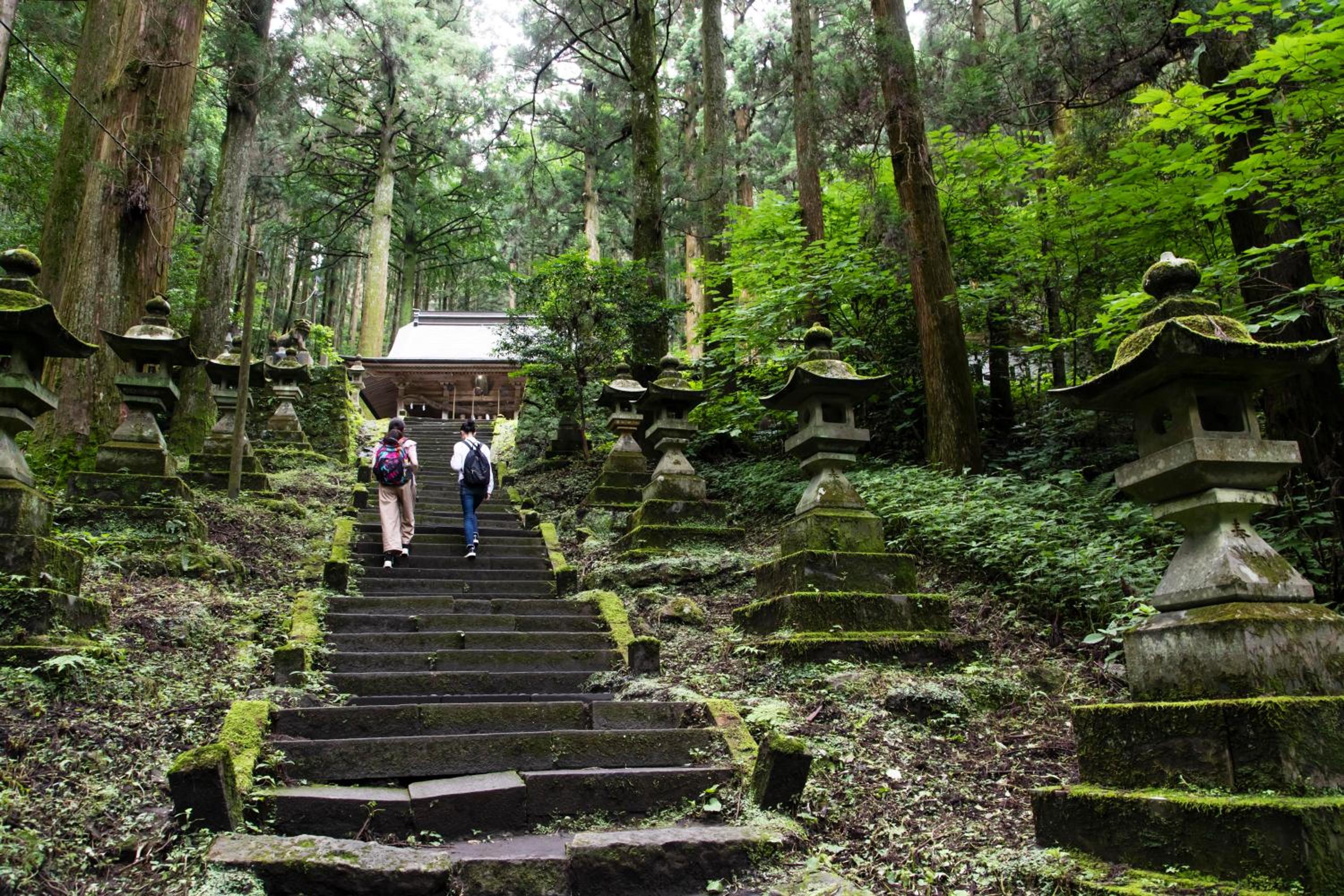 Kyukamura Minami-Aso