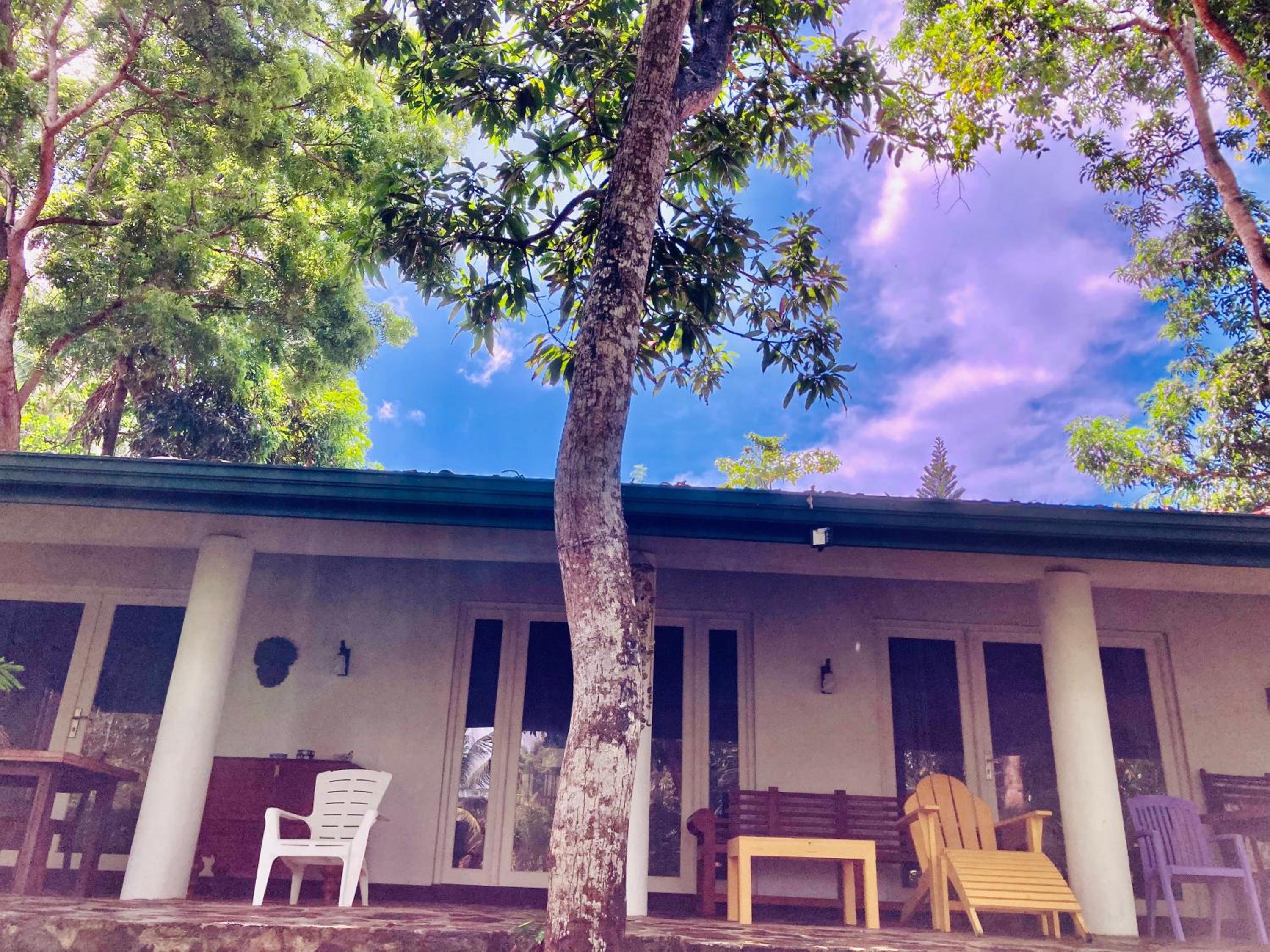Whispering House