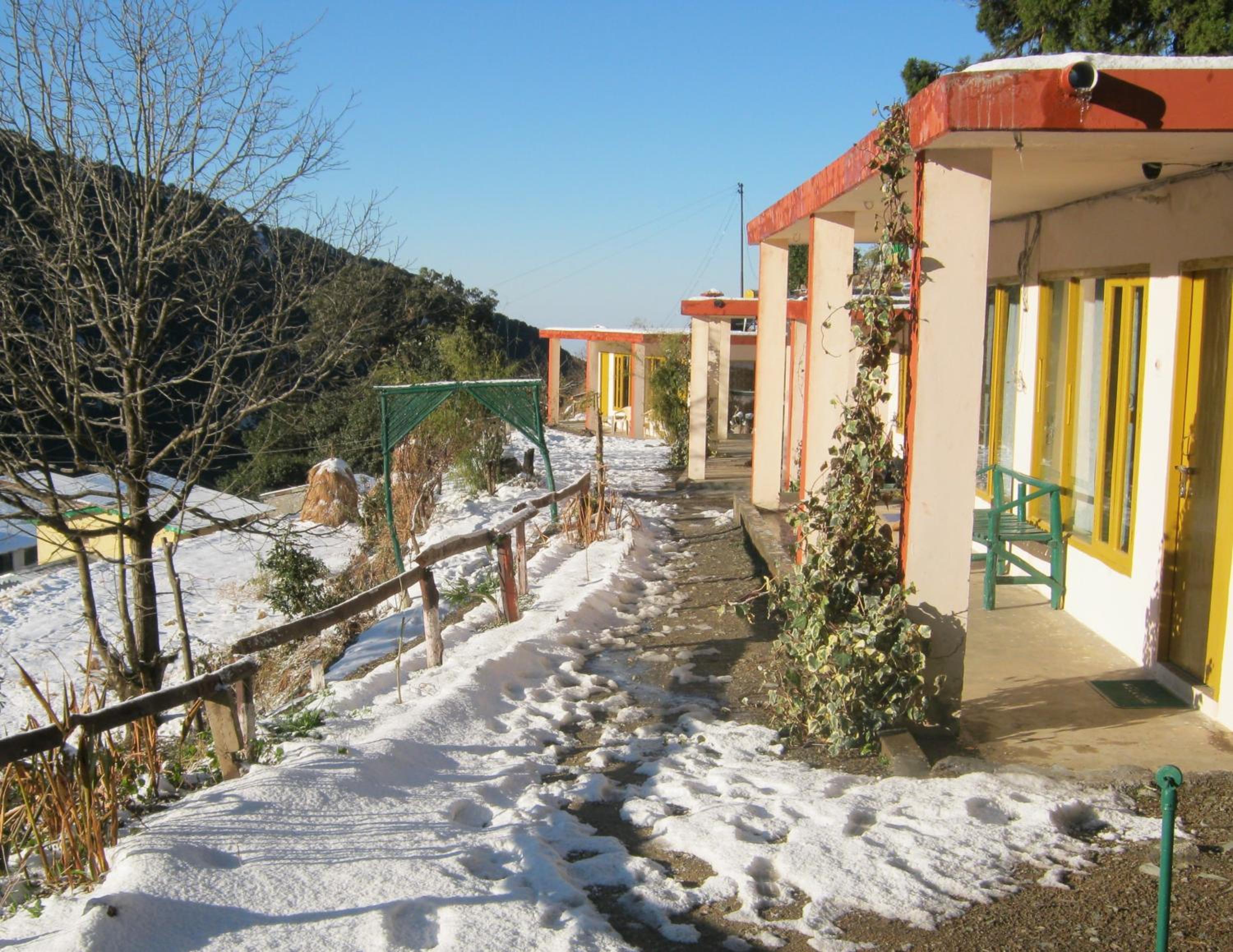 Photo 7