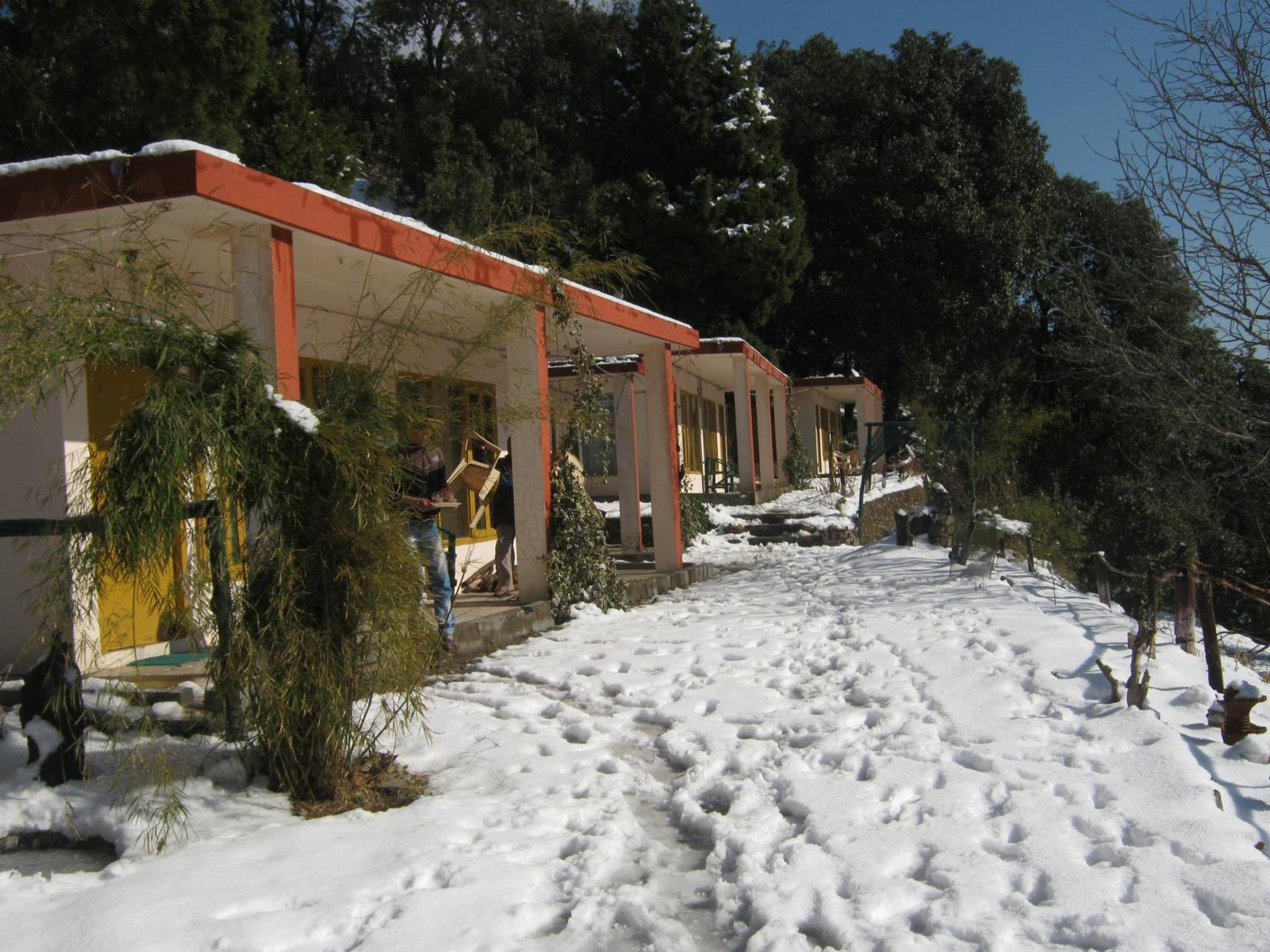 Photo 10