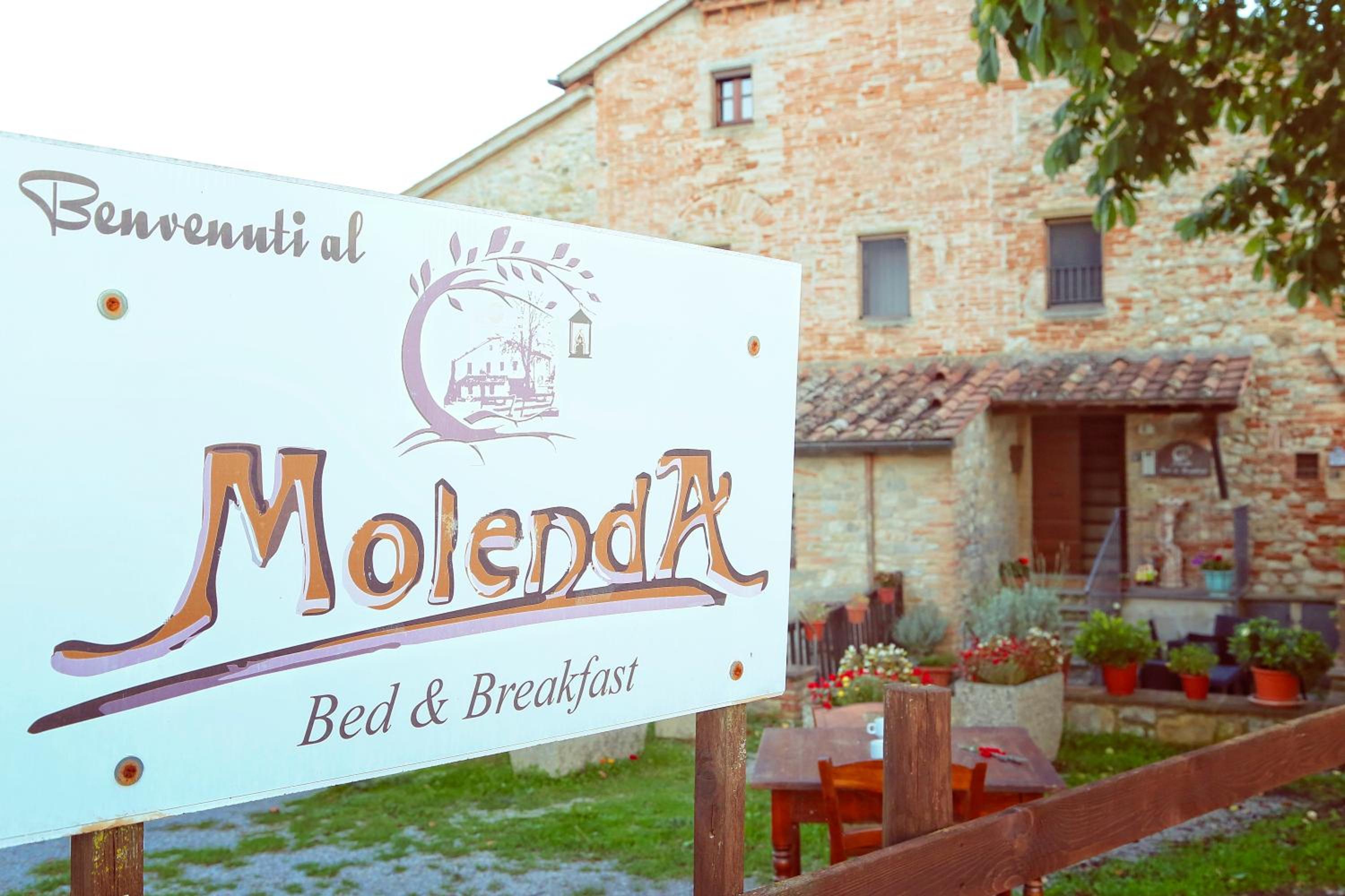 Molenda B&B