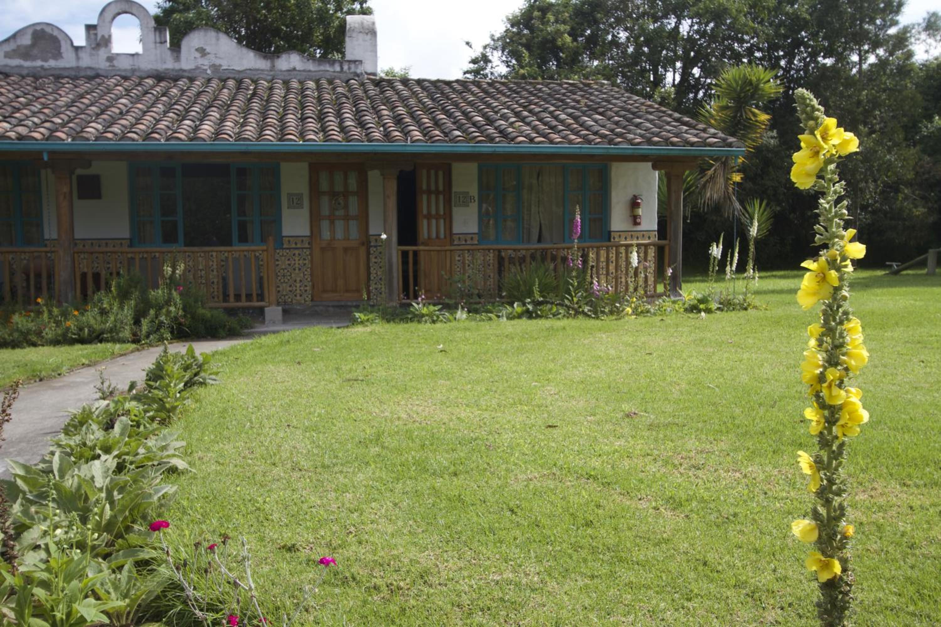 Las Palmeras Inn, photo 26