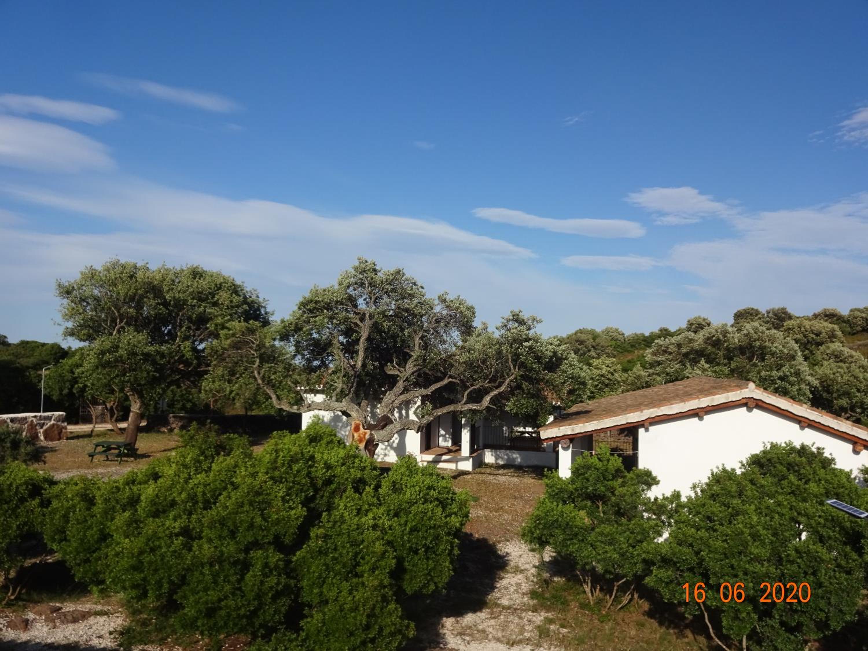 Photo 49