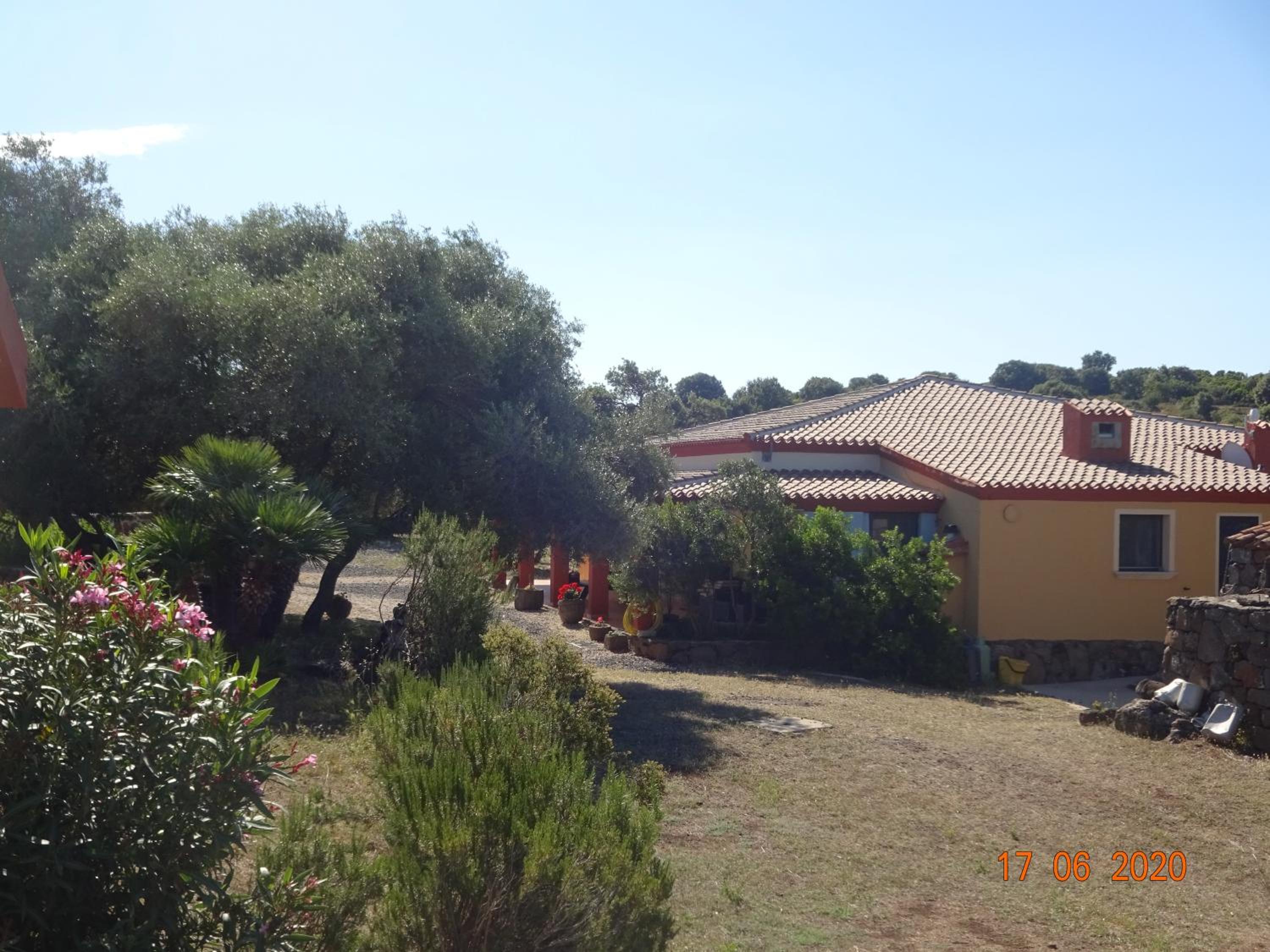 Photo 46