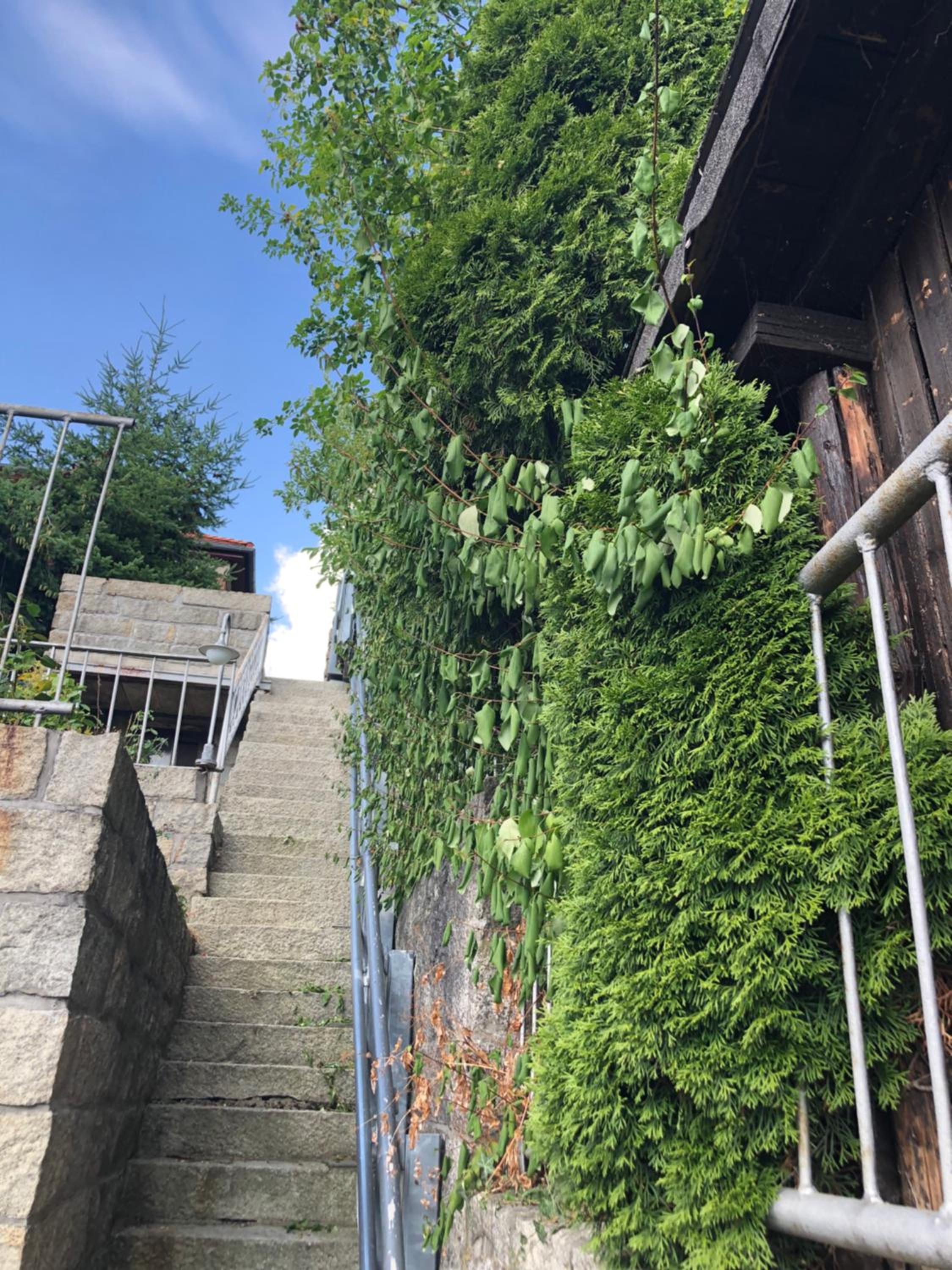 Haus Brockenblick