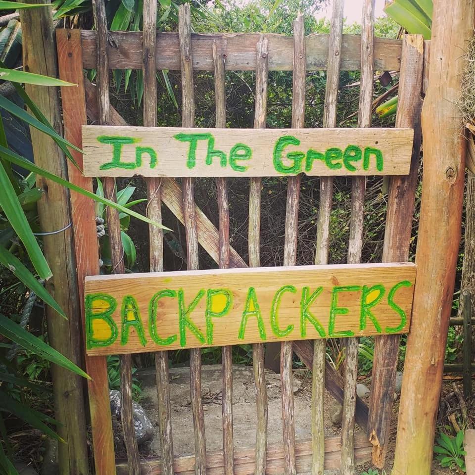 In The Green Backpackers view 2