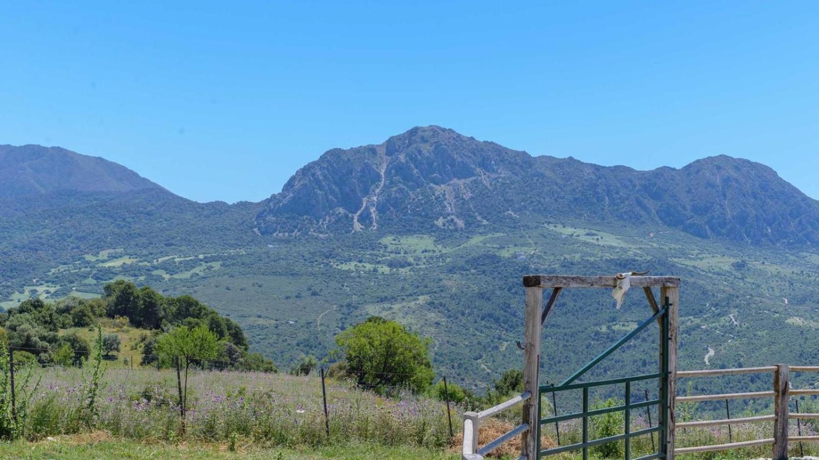 La Higuera de Gaucín by Ruralidays