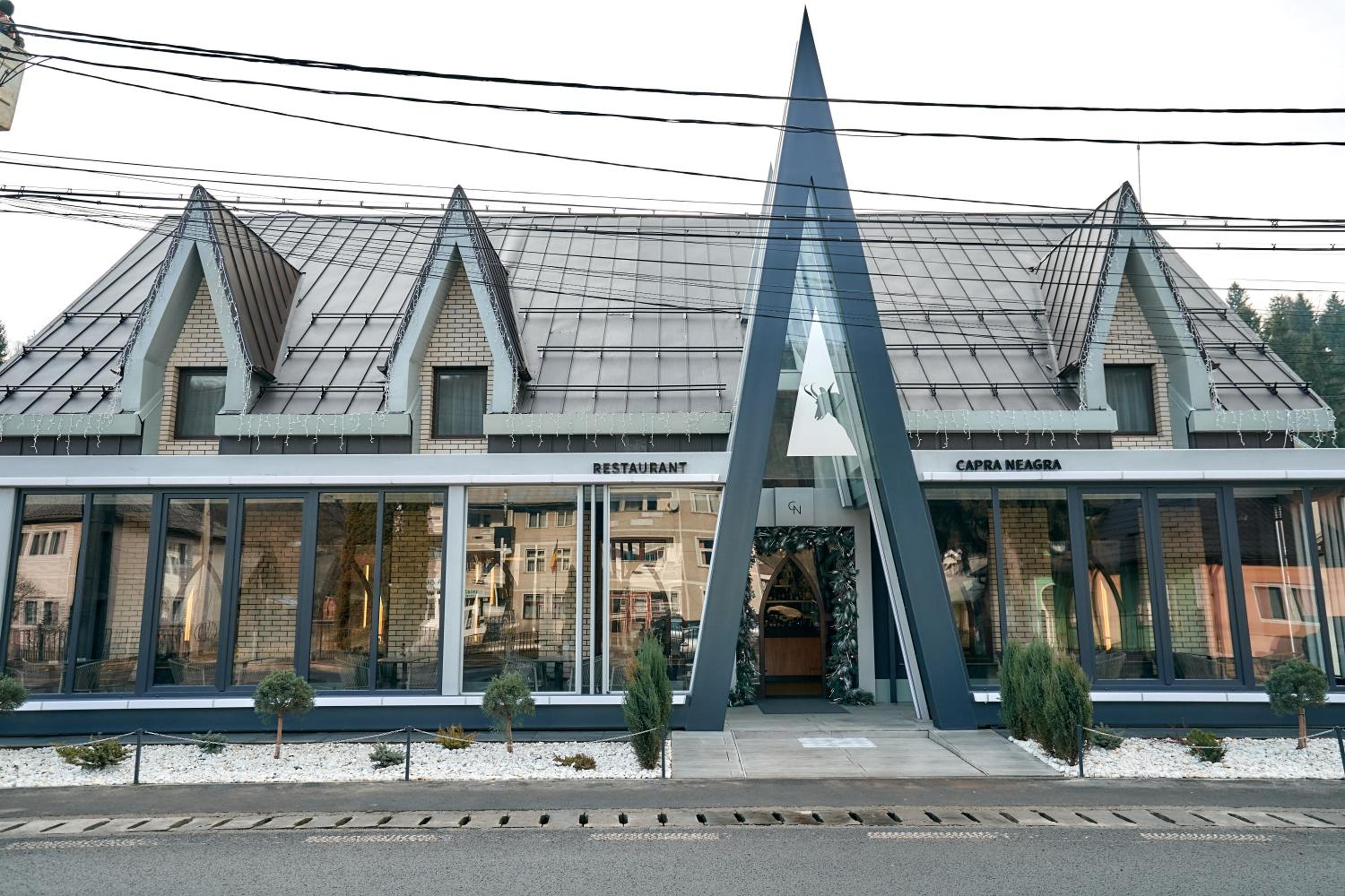 PENSIUNE RESTAURANT CAPRA NEAGRA view 4
