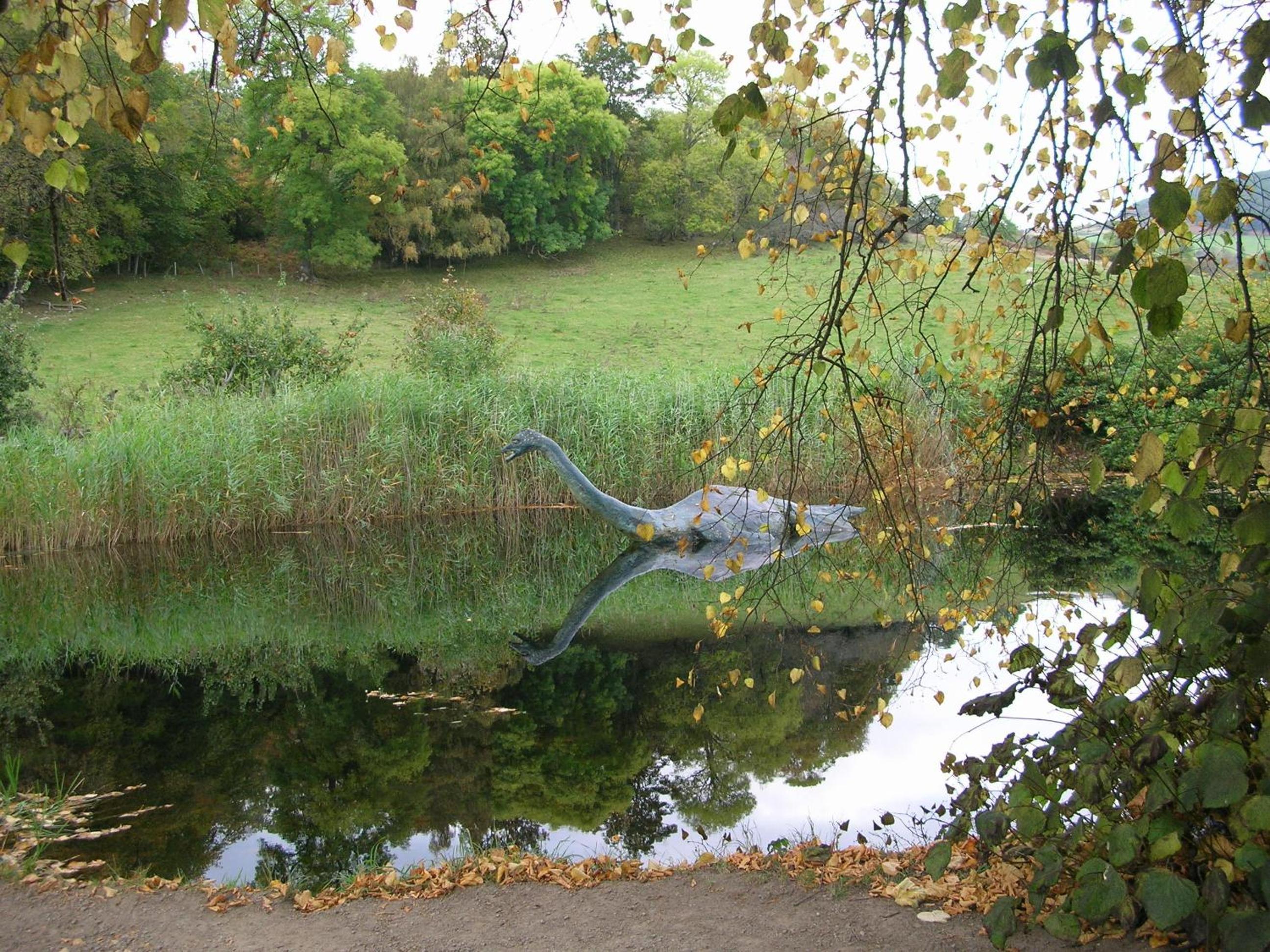 Photo 67