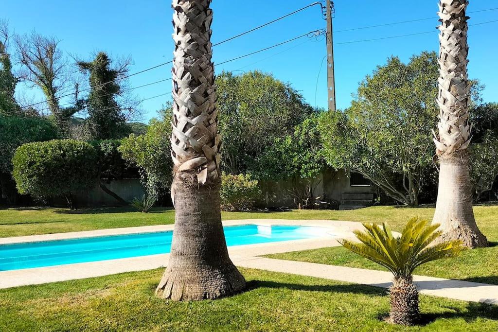 Casa Maravilha, summer house near the ocean view 3