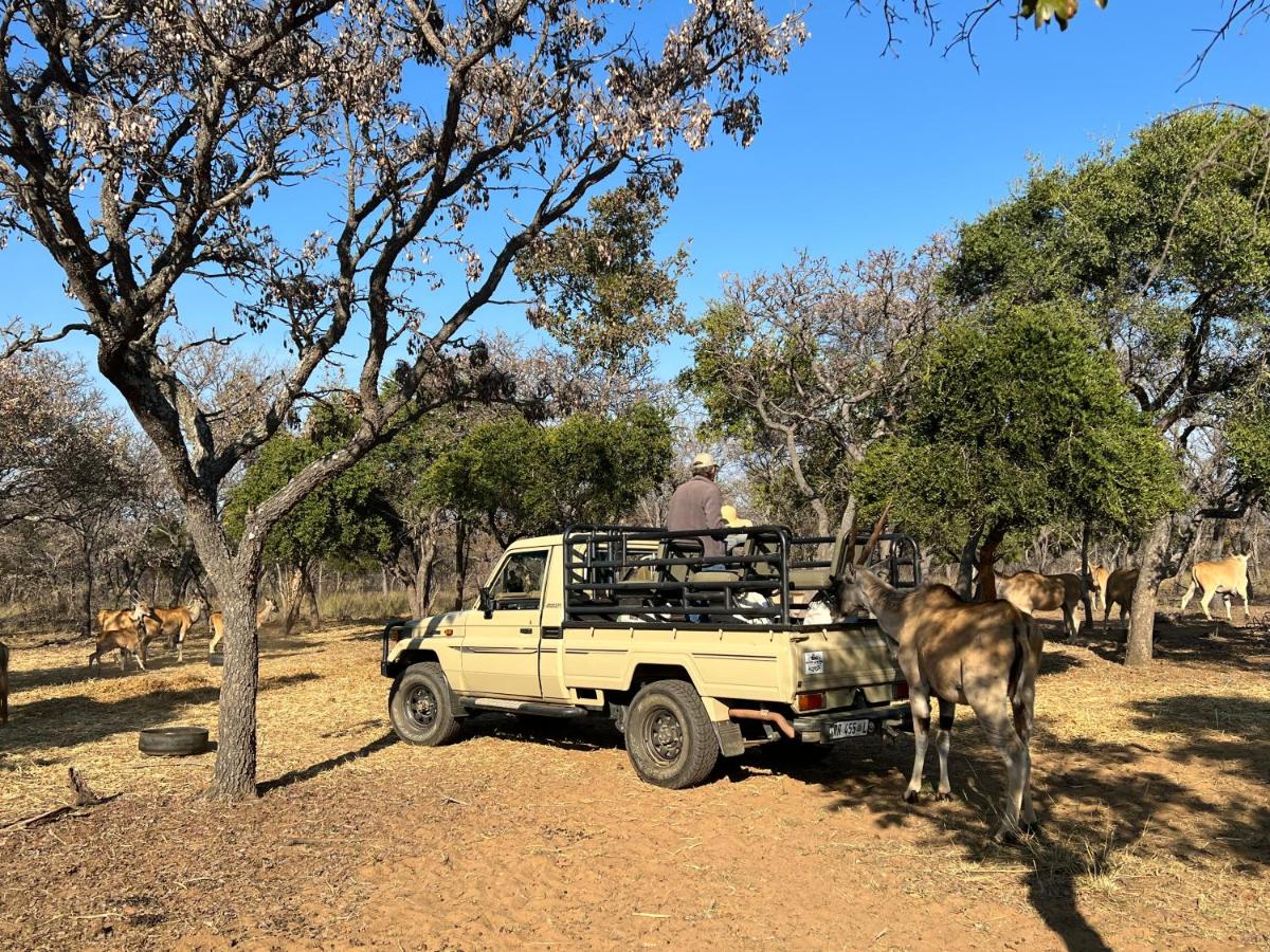 Limpopo Bushveld Retreat
