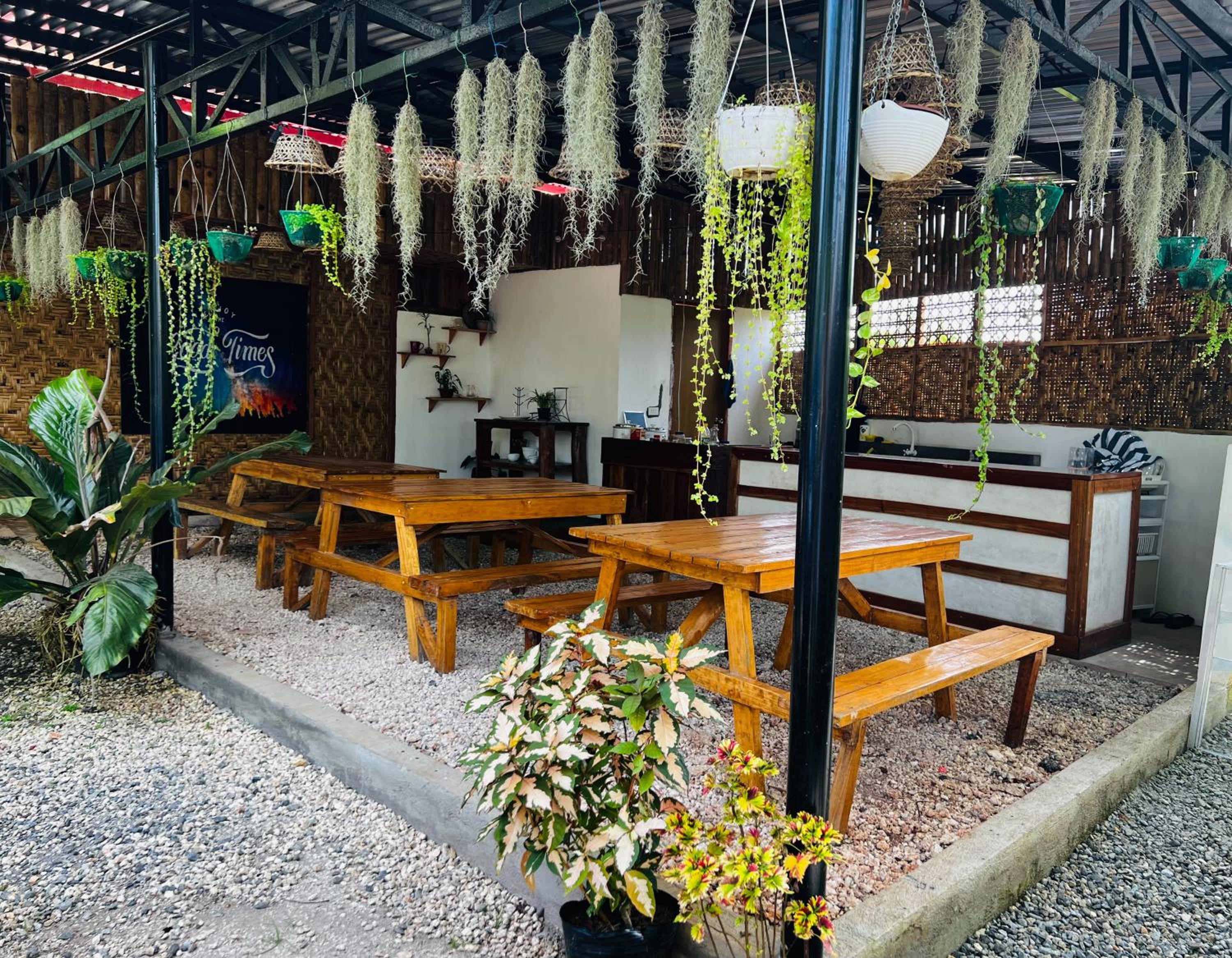 Bohol Island Homestay