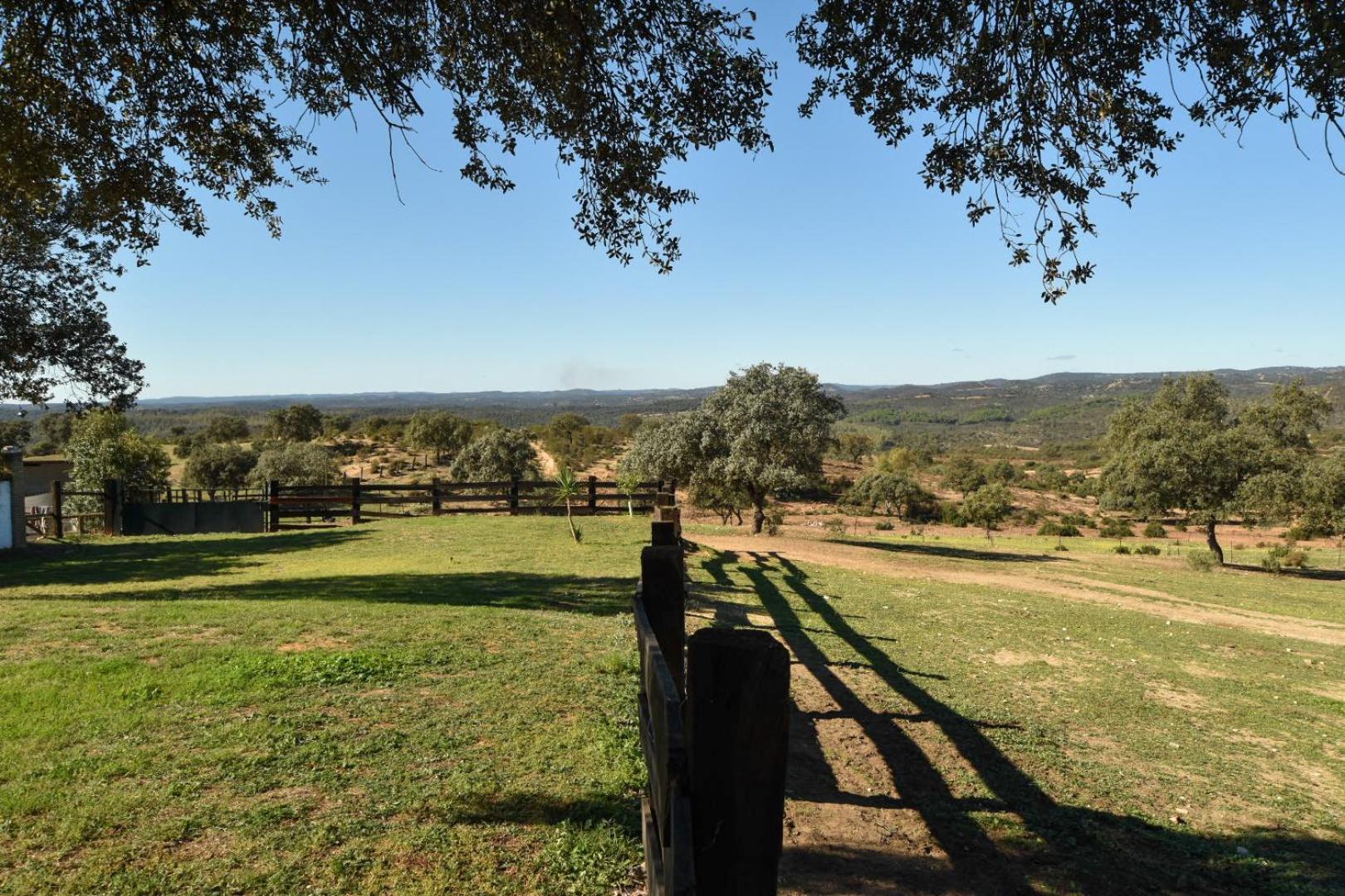 Finca Santa Maria de las Cañadas