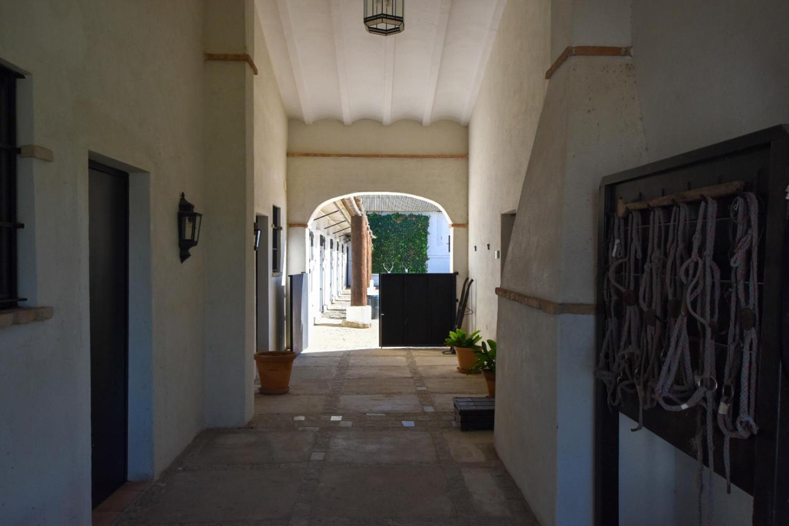 Finca Santa Maria de las Cañadas