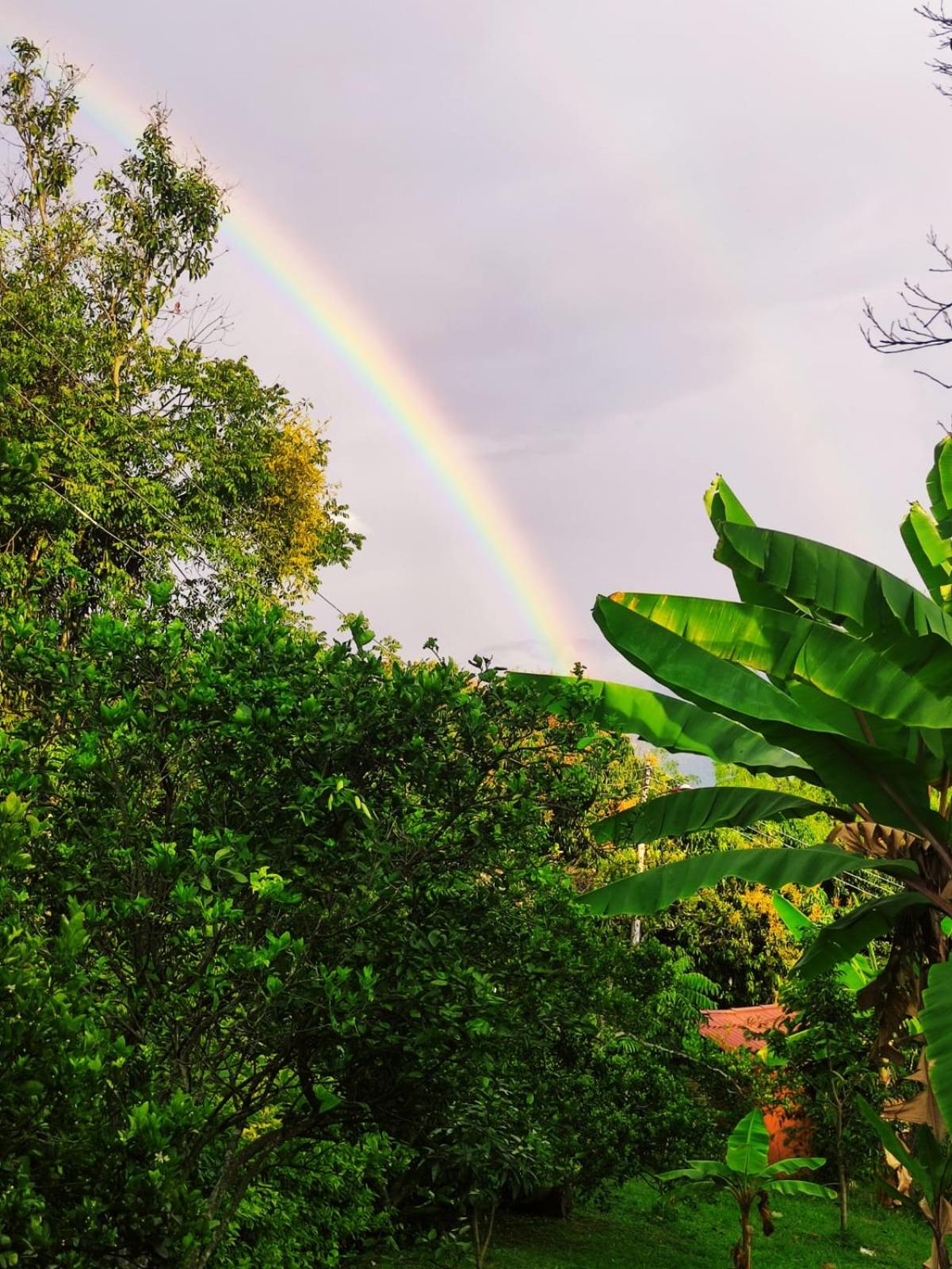 Finca Monarca