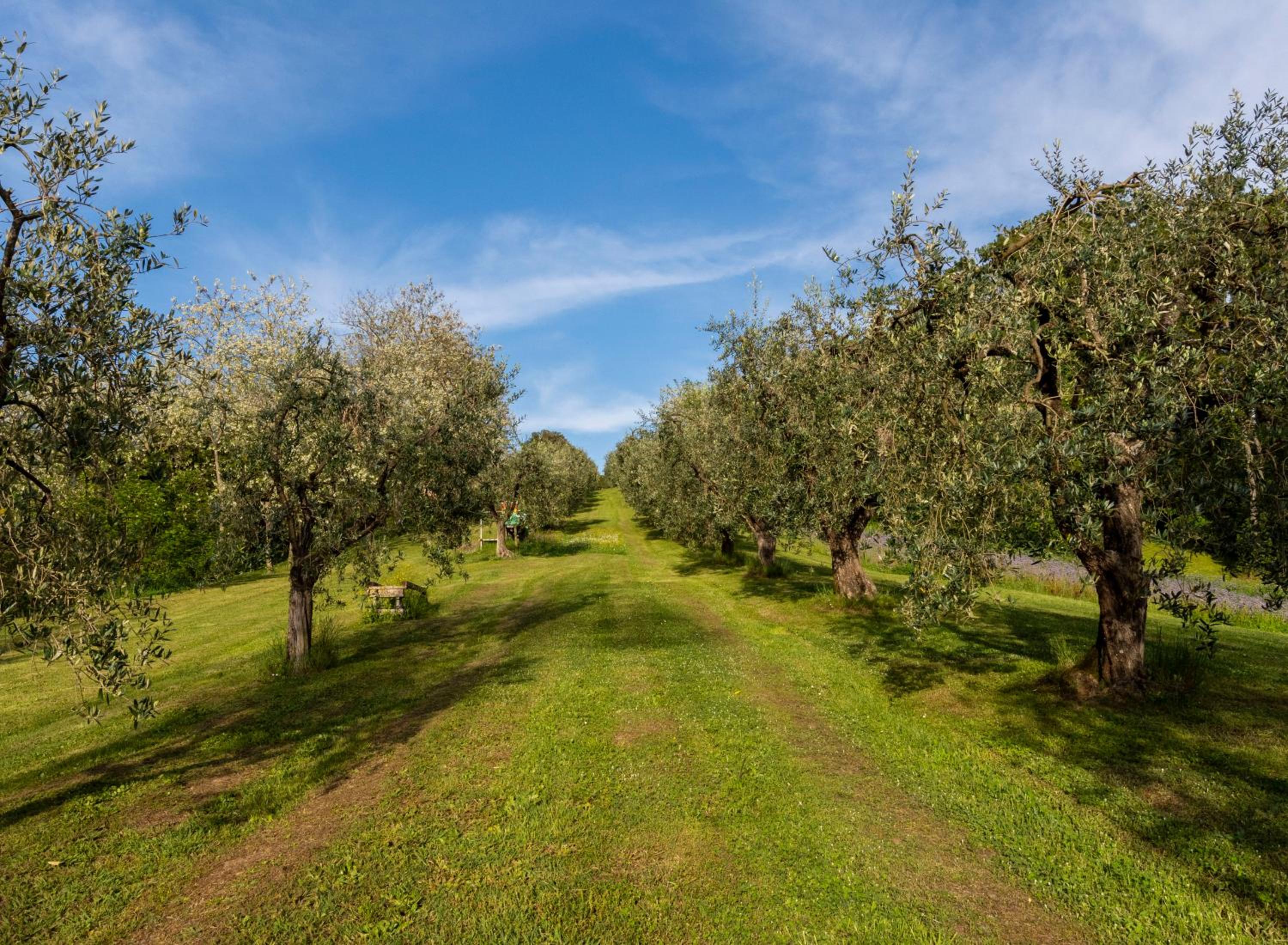 Podere Sant'Antonio