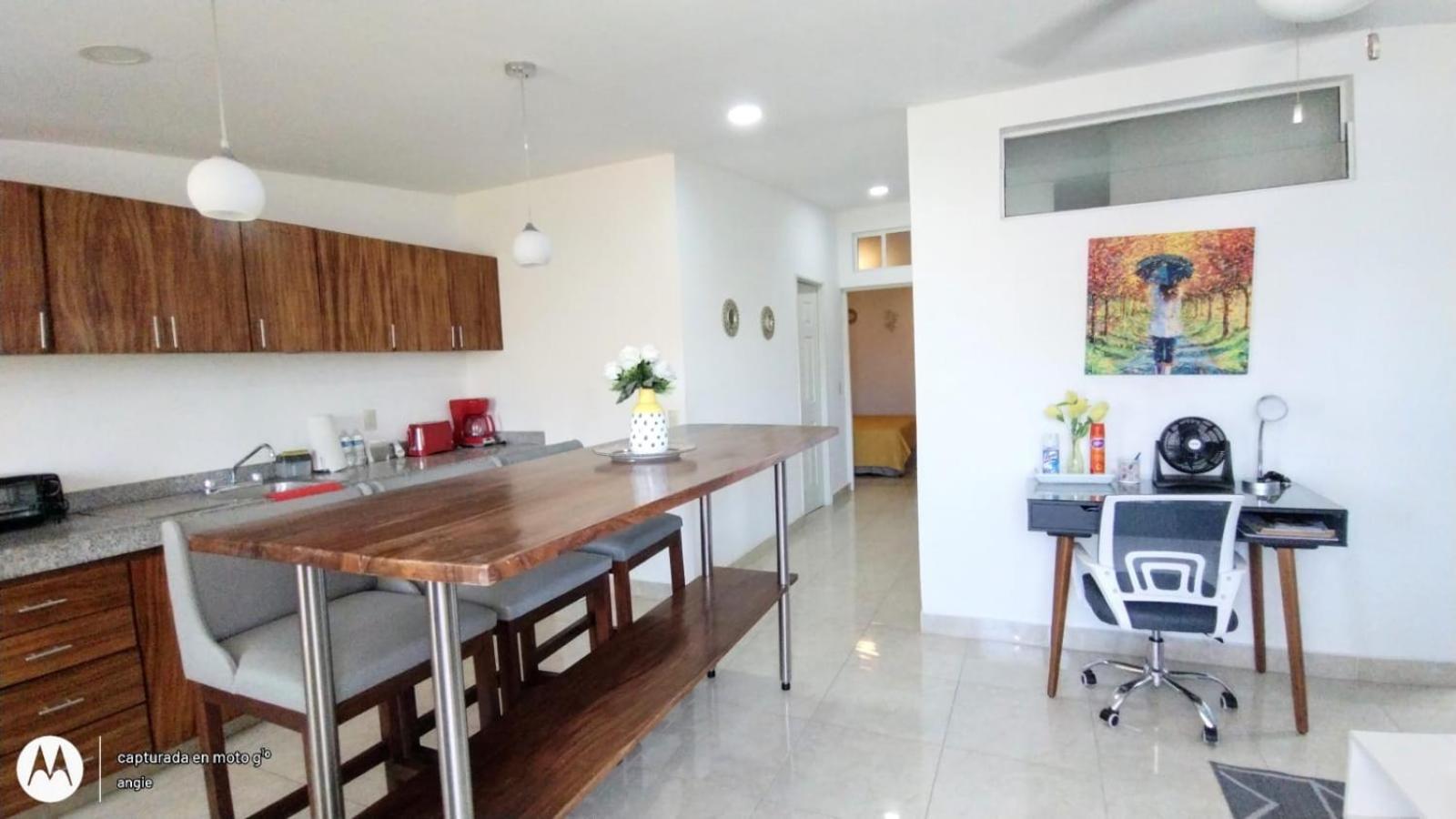 Loft Niza en Versalles view 5