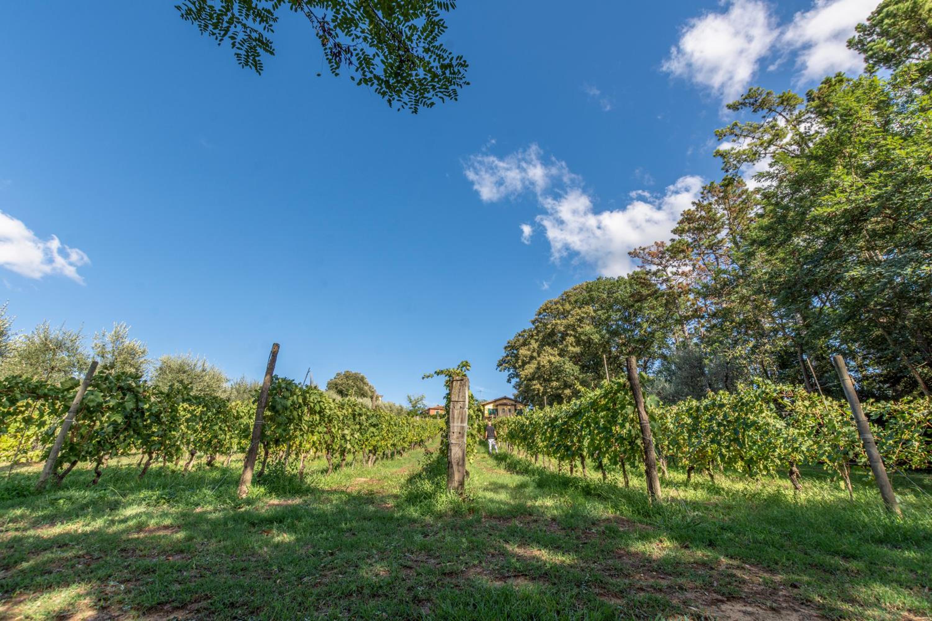 Podere Sant'Antonio