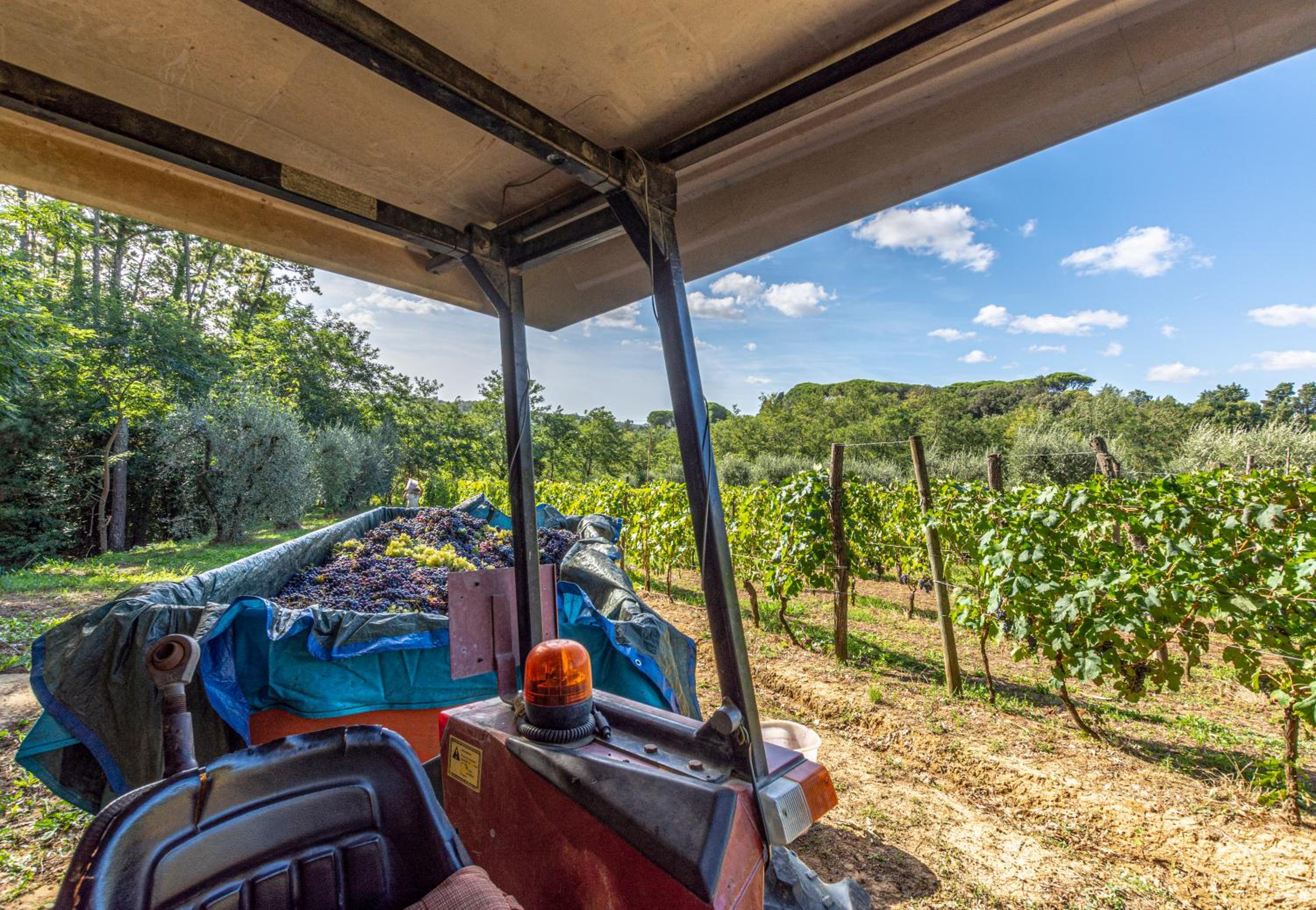 Podere Sant'Antonio